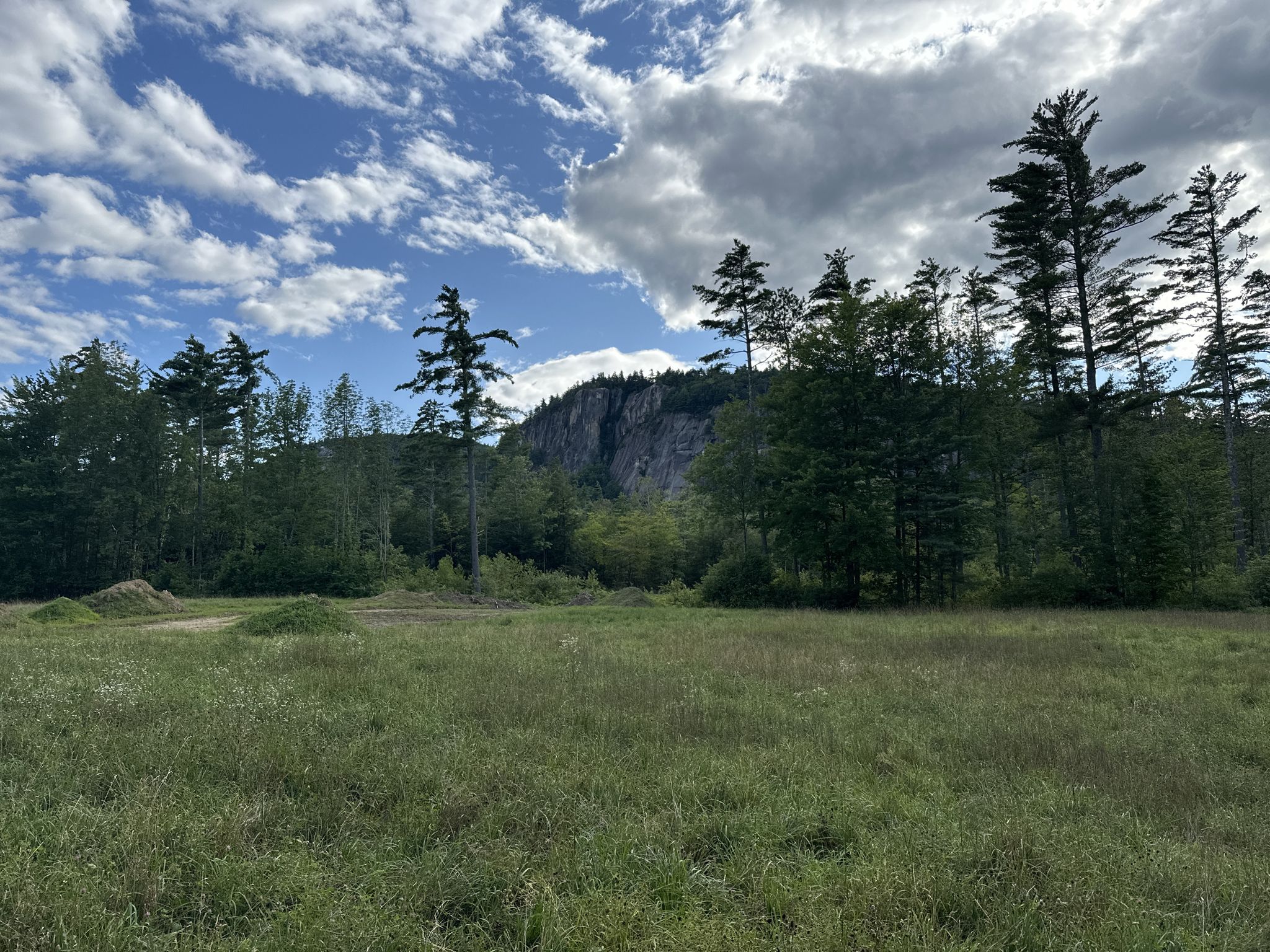 Grassy field, tall trees, and a rocky mountain under a cloudy sky. - Albany Covered Bridge loop