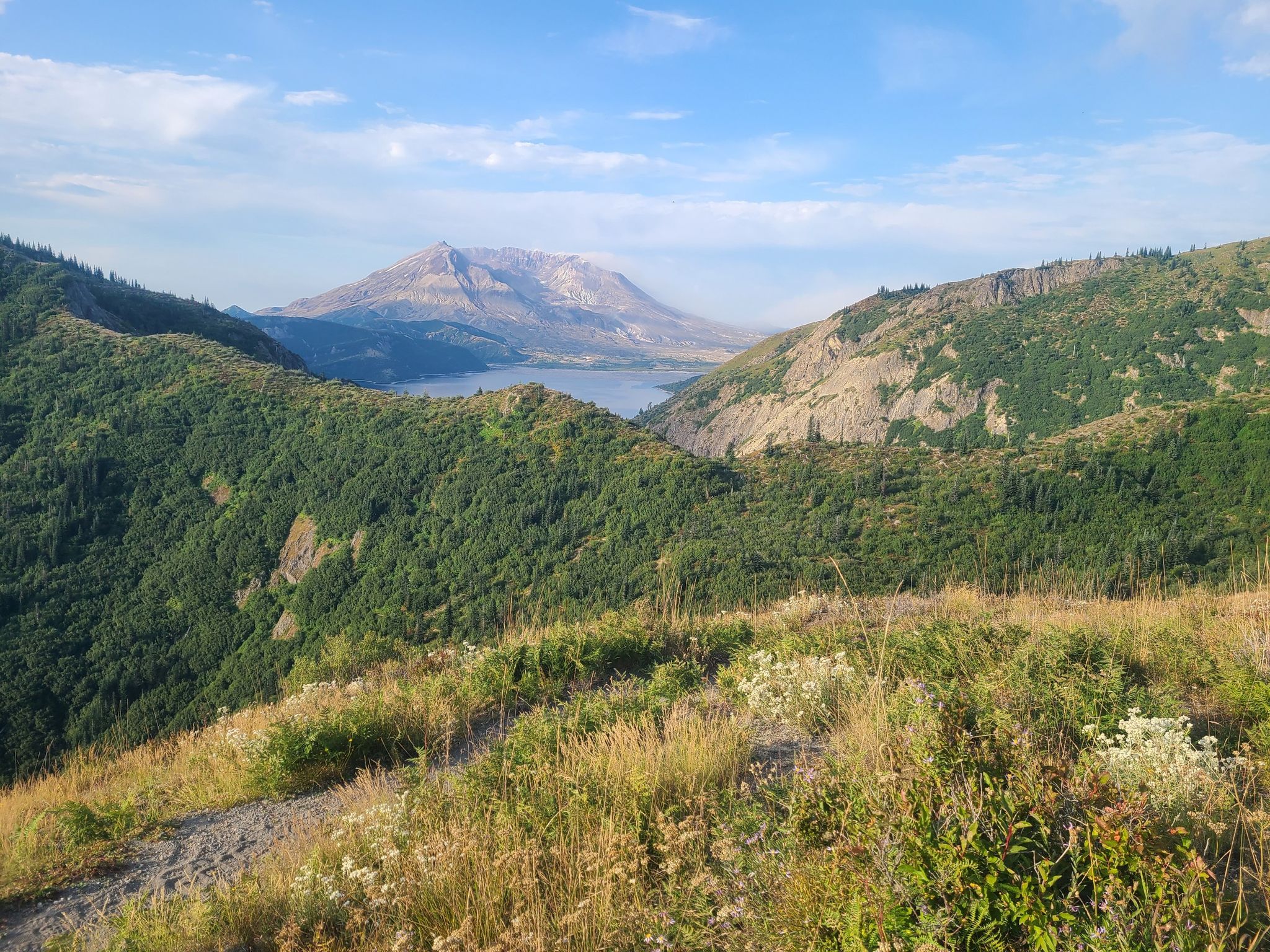 Mountain, lake, and green forested hills under a bright blue sky. - Mount Margaret via Boundary Trail