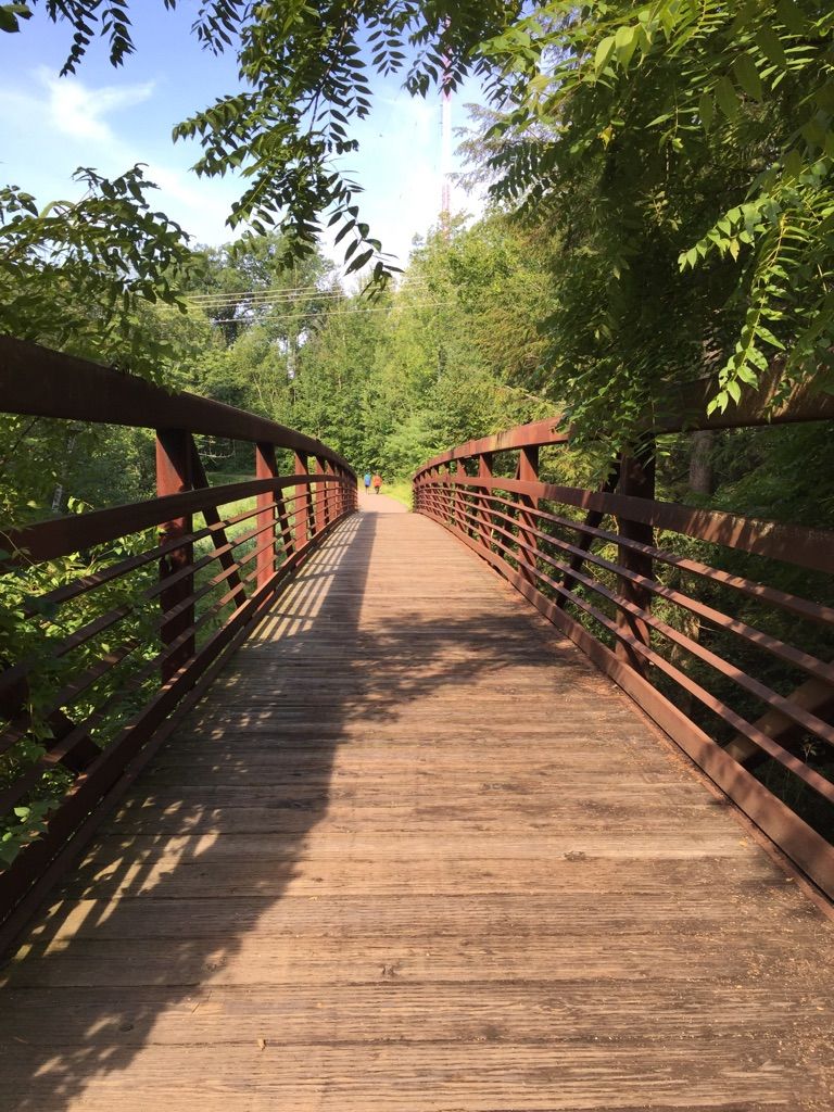 A sunny wooden bridge with metal railings, surrounded by lush green trees. - Cycle the City Southern Sojourn