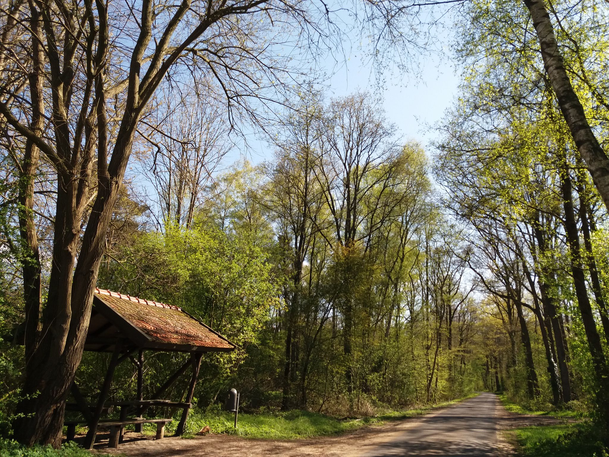 Schöne Waldwege in Neuenhaus