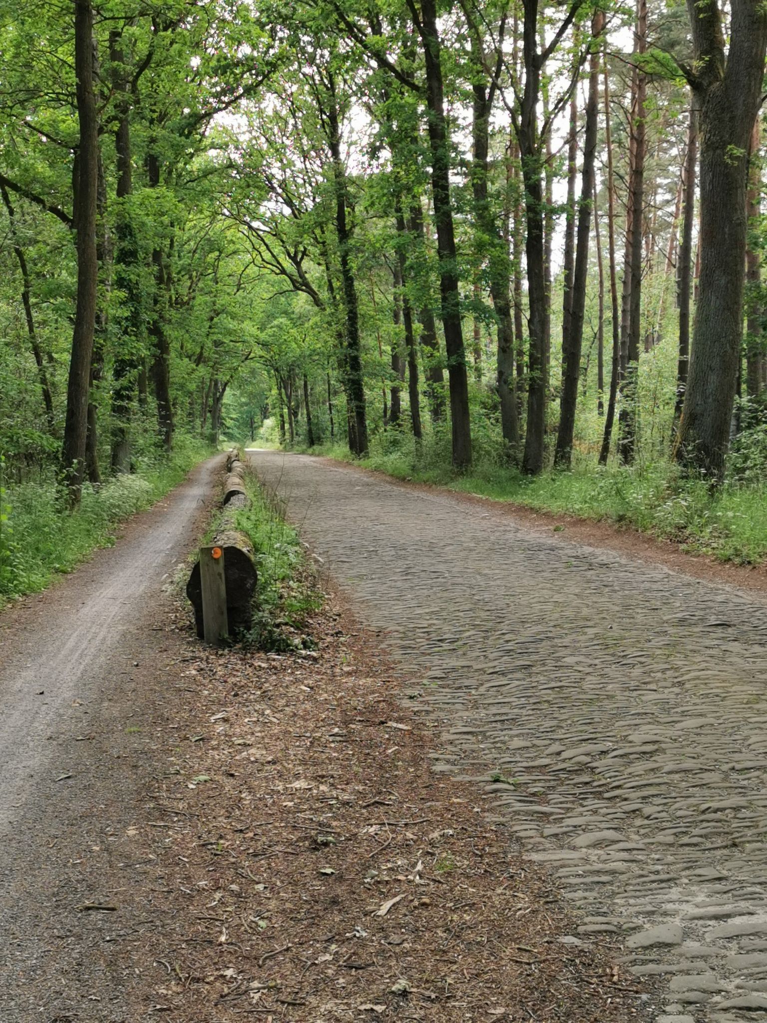 Pflastersteine aber Radweg daneben