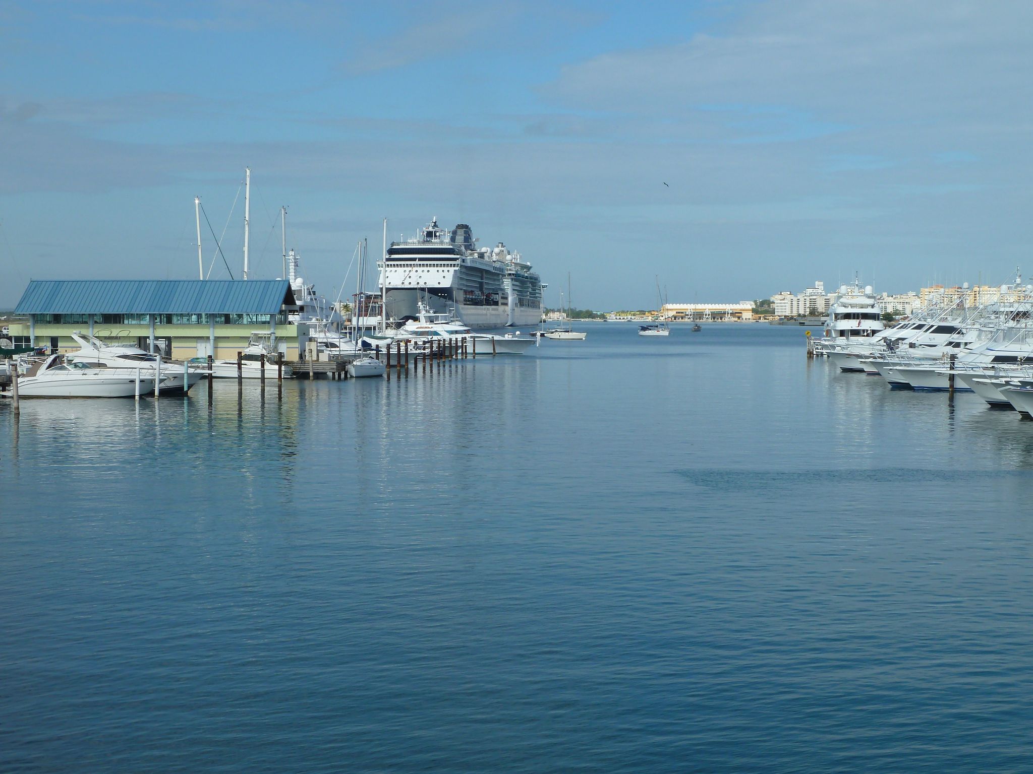 Blick zum Cruise Terminal