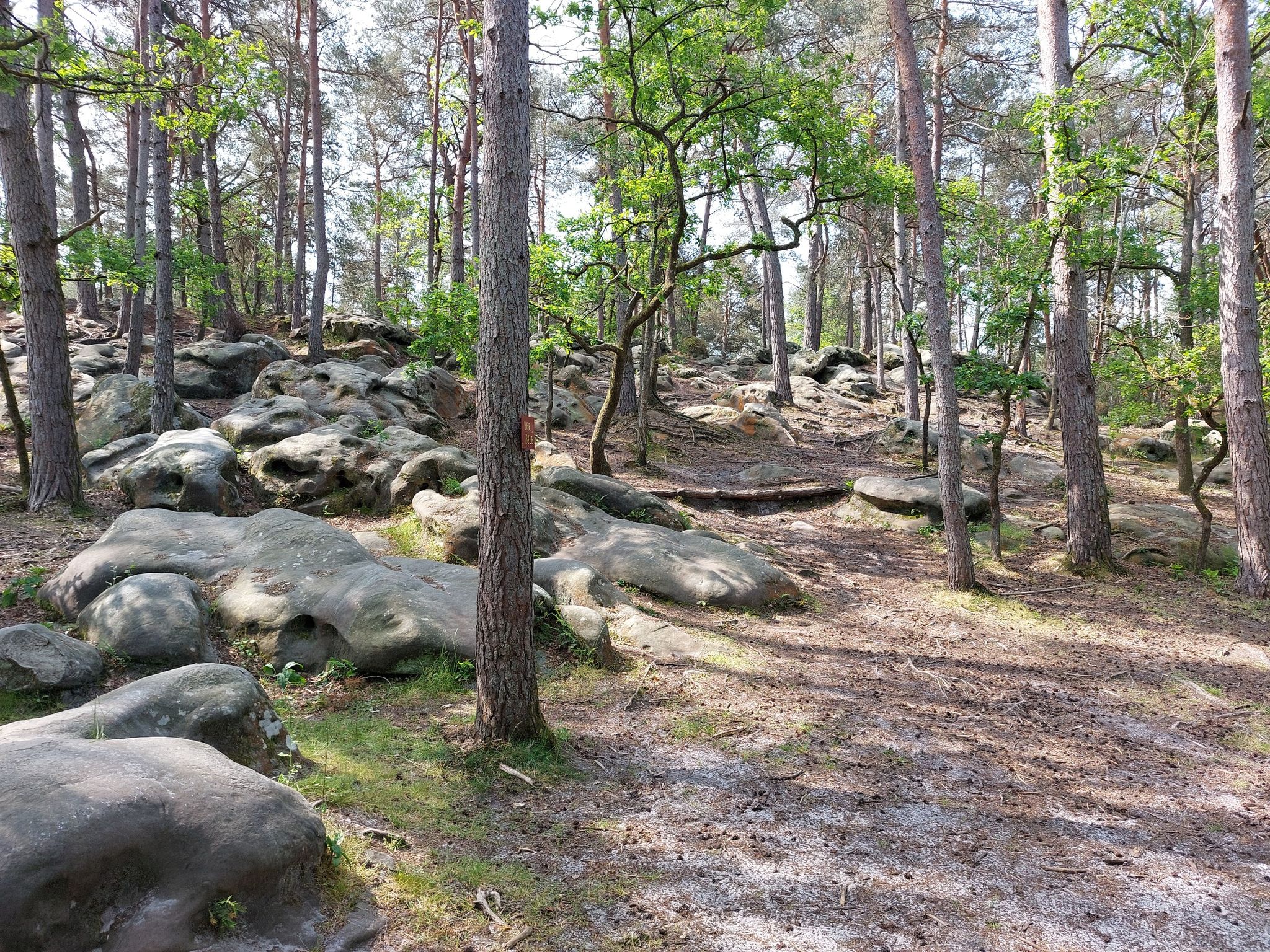 Eerste Rotsen