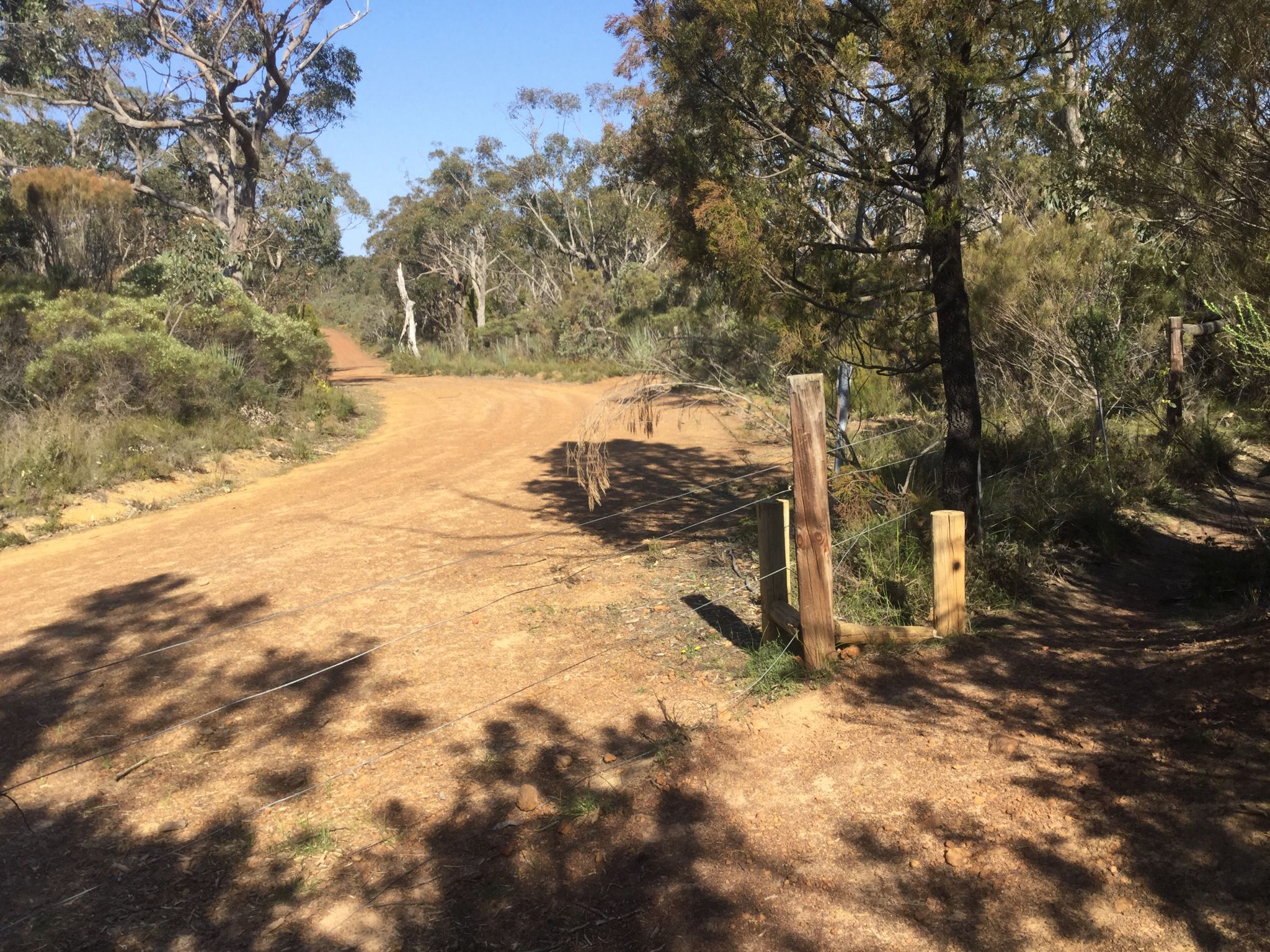 Myrtaceae Hike 7 , junction with Heysen Trail