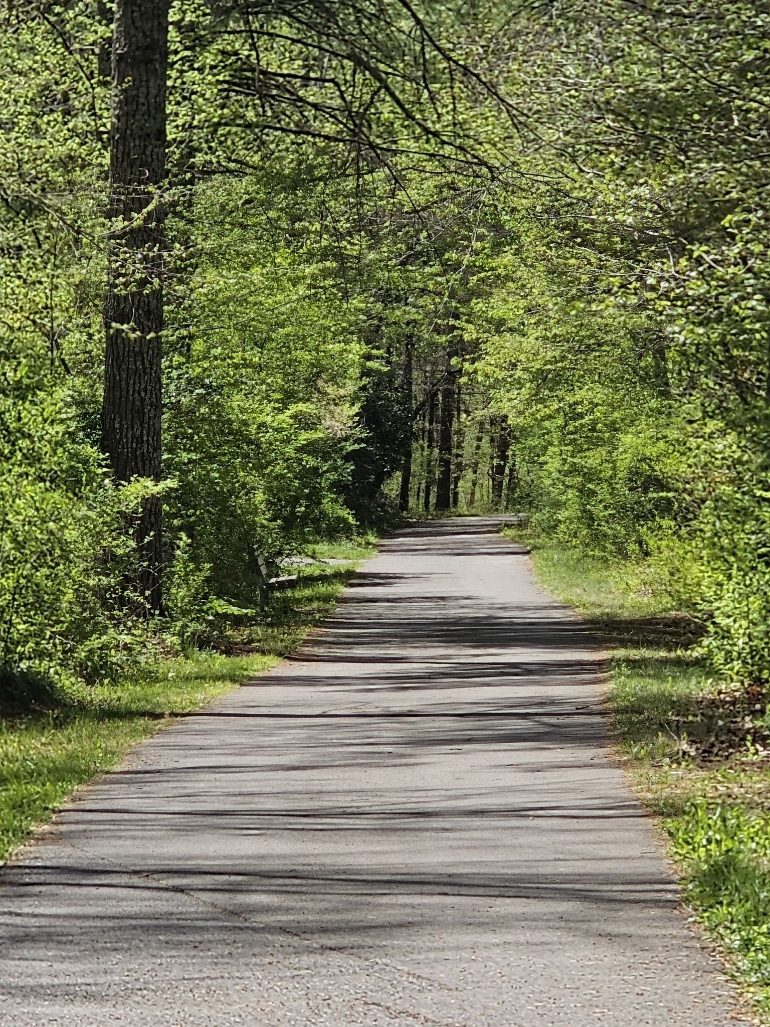 Paved path winding through a dense, sun-dappled green forest. - Coal Mining Heritage Park – Think On It Sculpture loop from Virginia Tech Montgomery Executive Airport