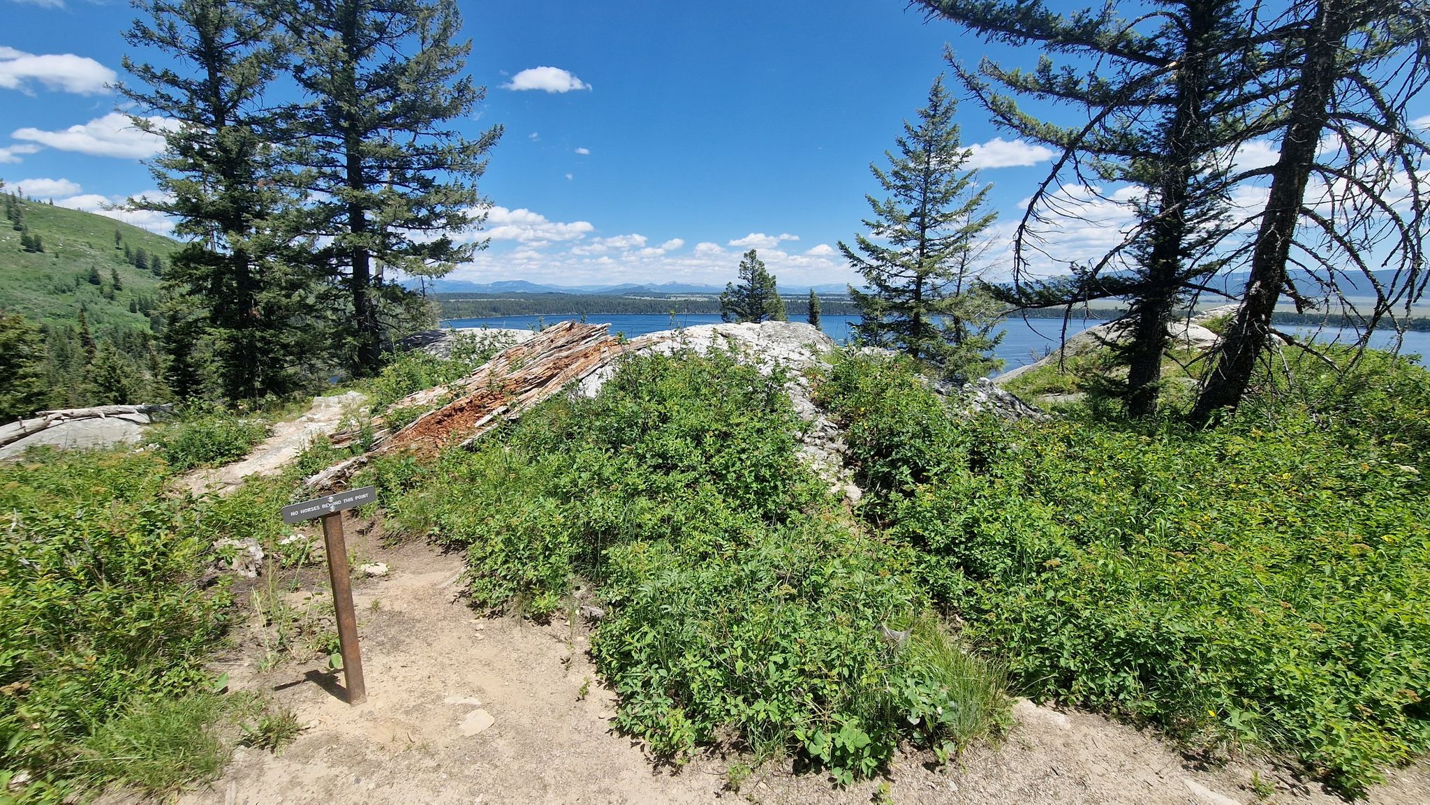 Dirt trail through green bushes and pine trees, overlooking a lake under blue sky. - Jenny Lake Overlook – Hidden Falls loop from Jenny Lake