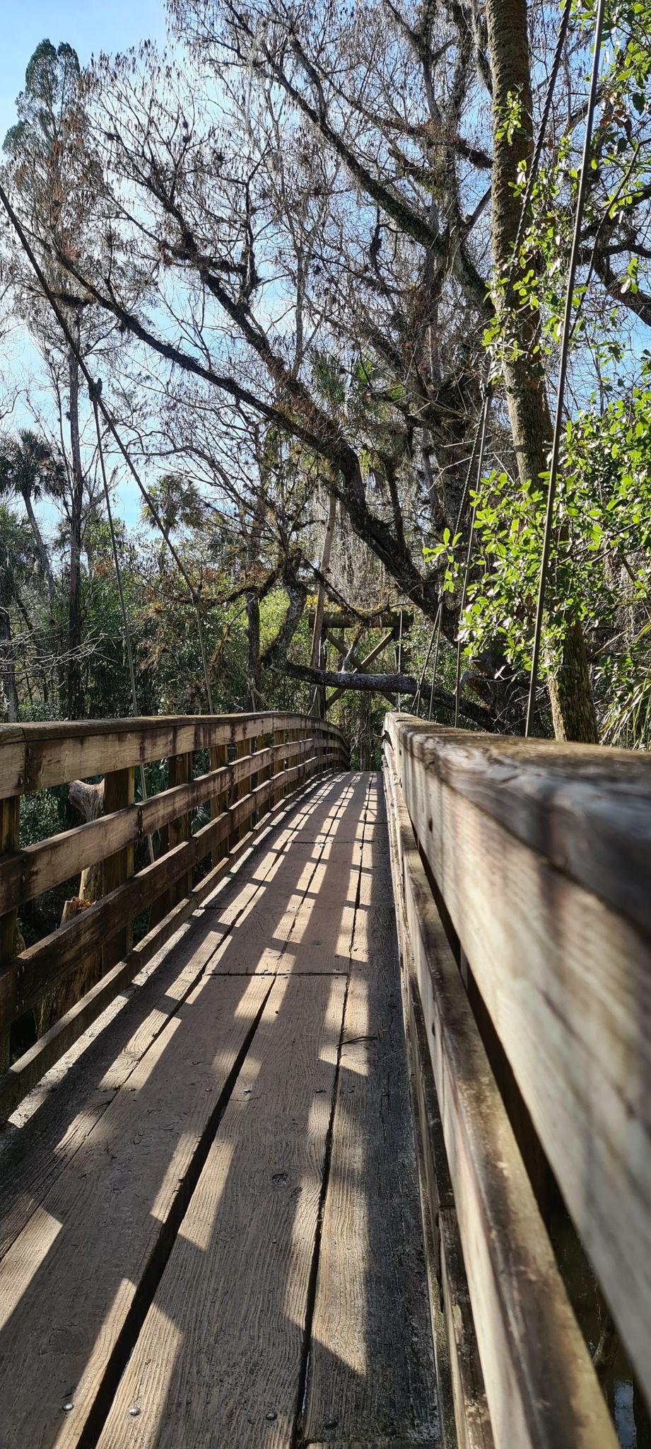 A wooden bridge with railings, dappled sunlight creating shadows on the path. - Baynard Trail