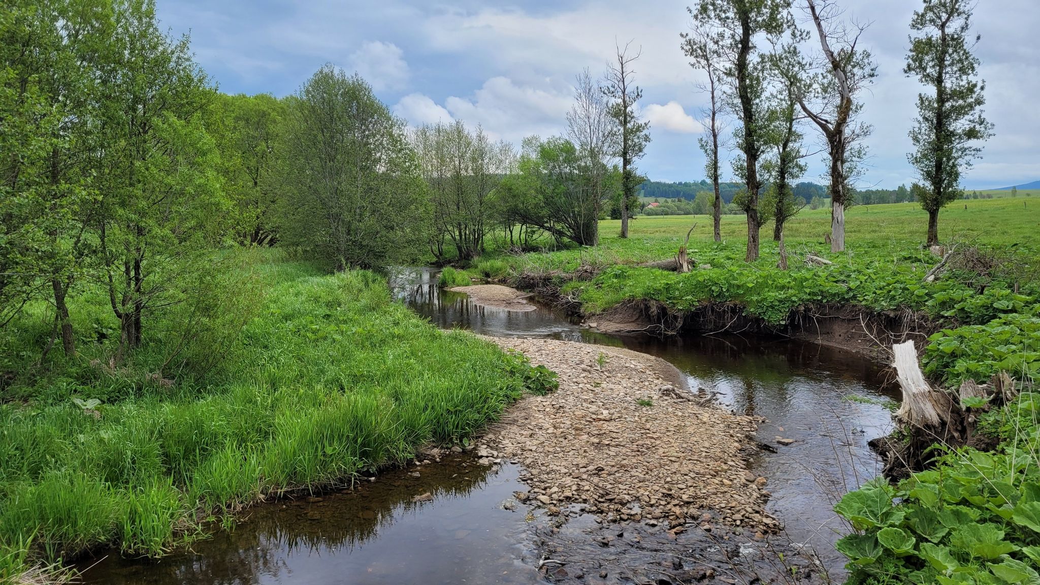 Graniczna rzeczka Dzika Orlica(cz. Divoká Orlice), rozdzielająca dolinę na części polaską i czeską.