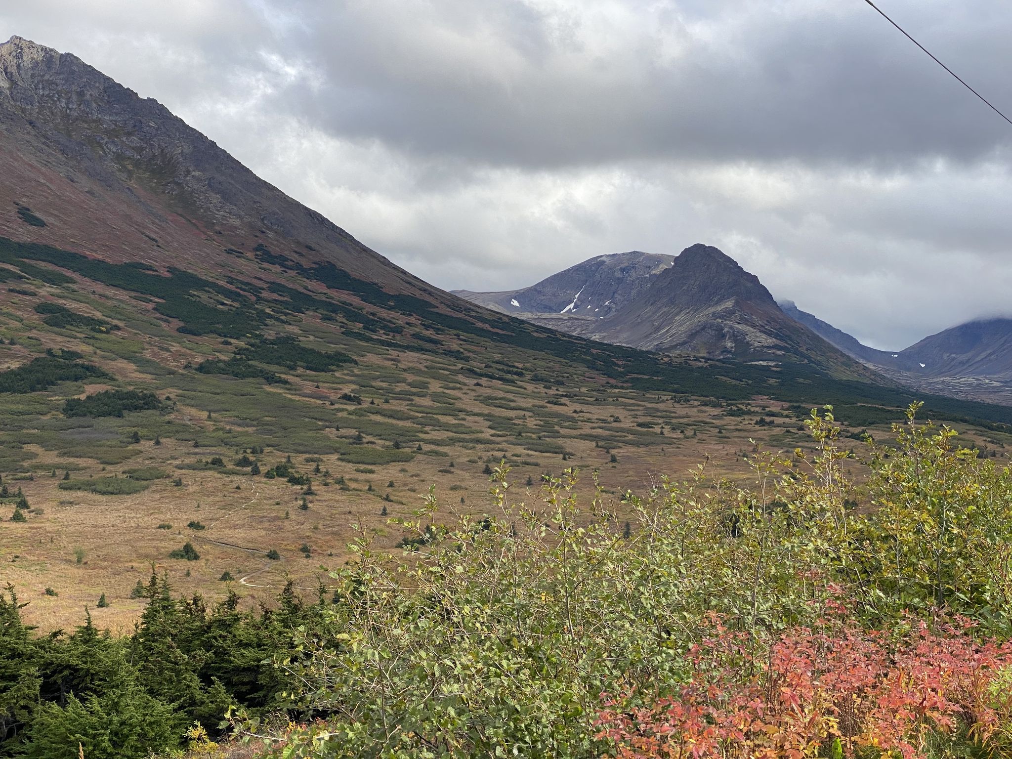 Mountain valley with autumn foliage and distant peaks under an overcast sky. - Powerline Pass Trail