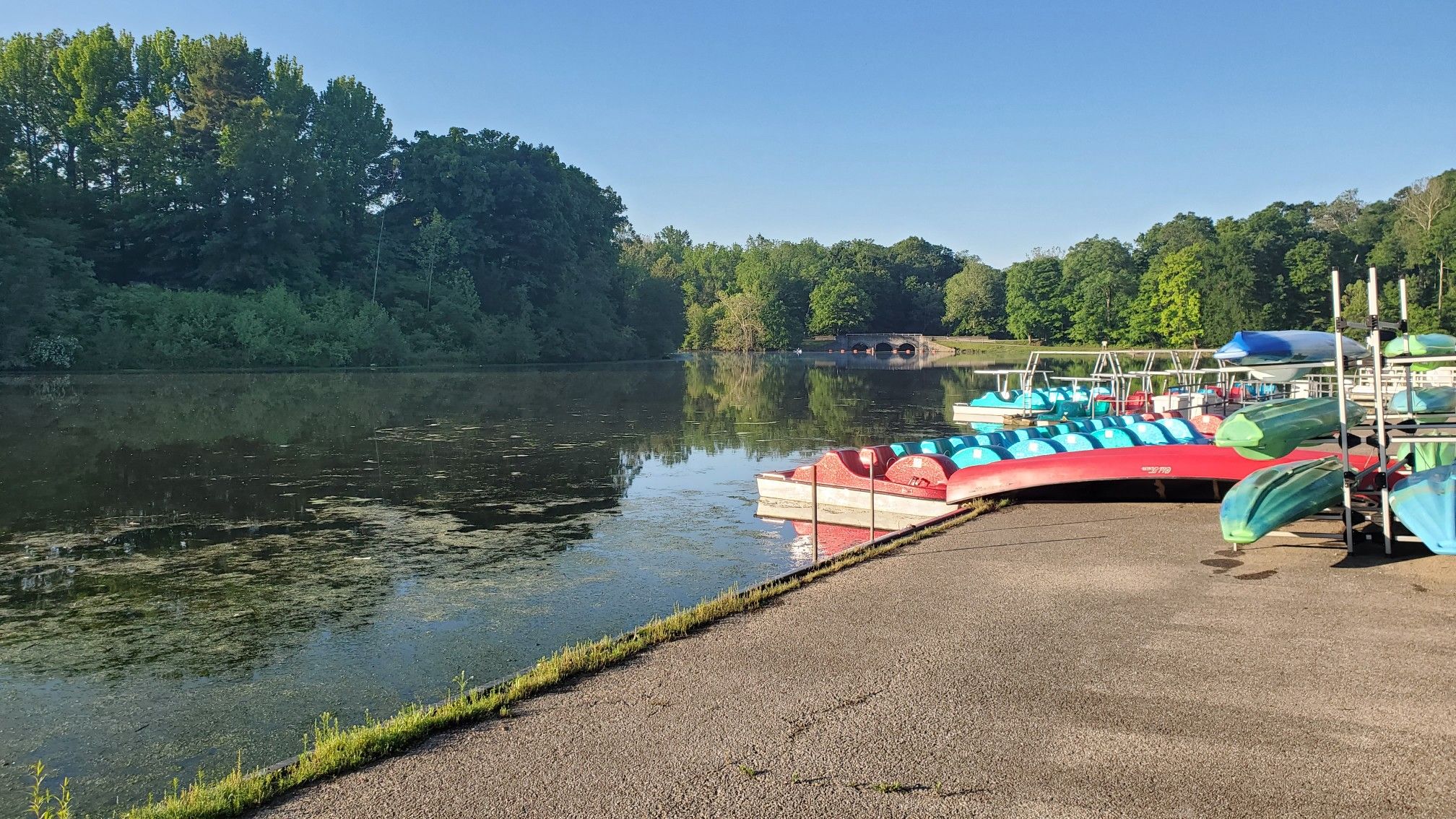 Colorful paddle boats and kayaks docked beside a calm lake on a sunny day. - Sharon Woods Lake loop from Heritage Village Museum