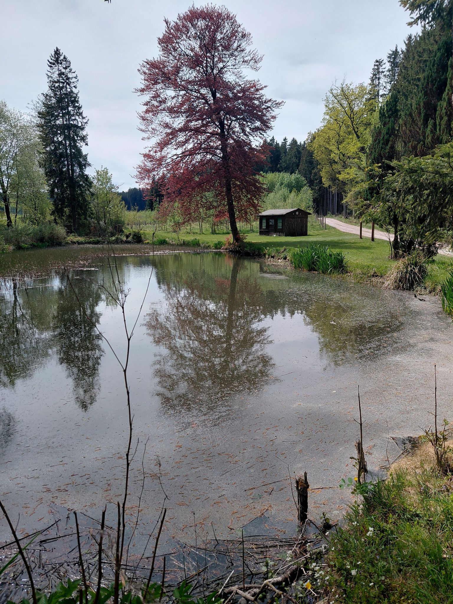 Bei der Wassertretanlage