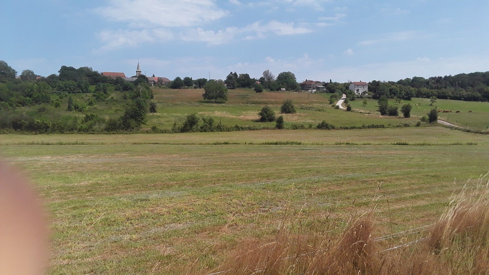 Viomėnil