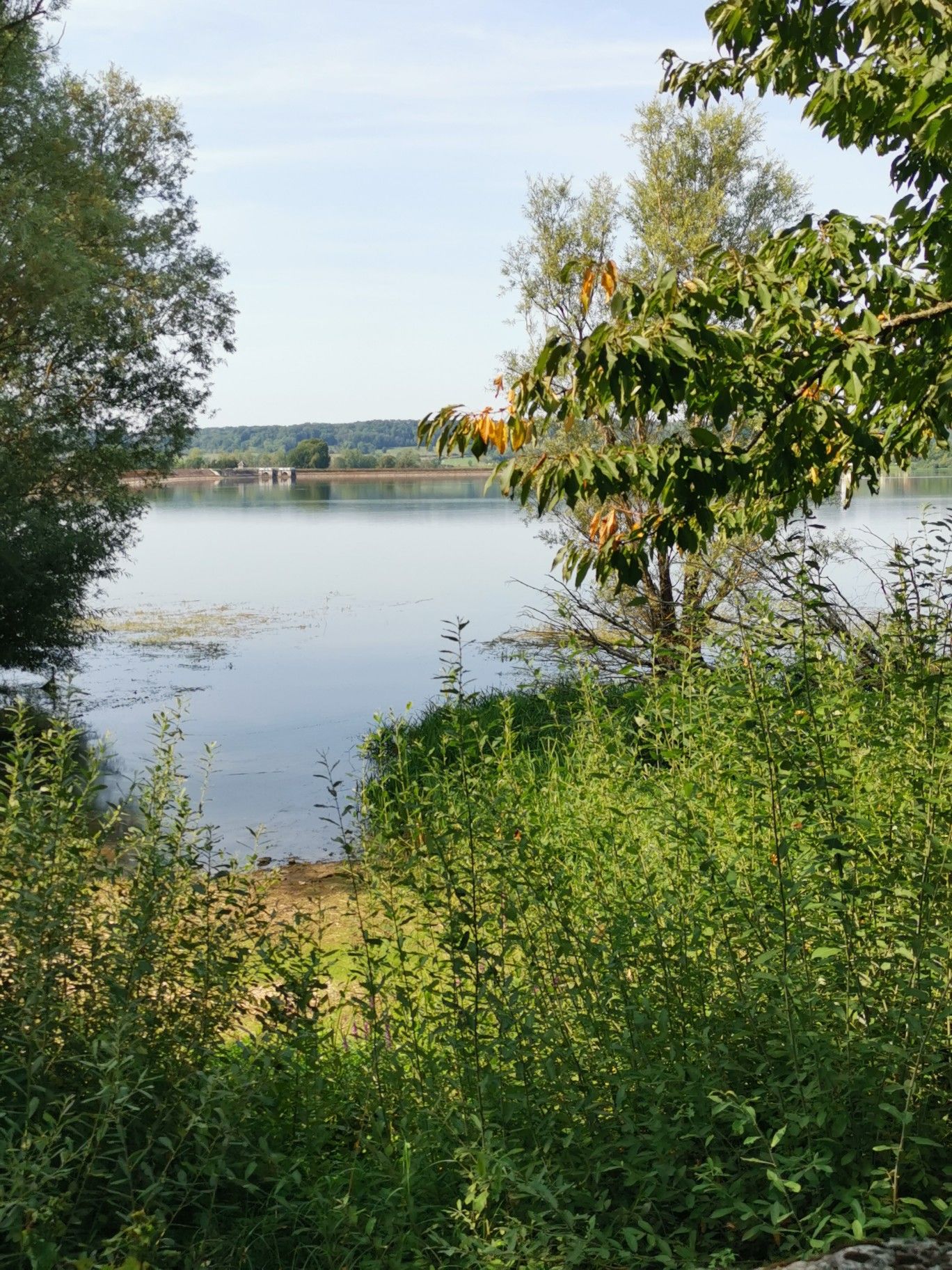 Reservoir de Vingeanne ou de Villegusien