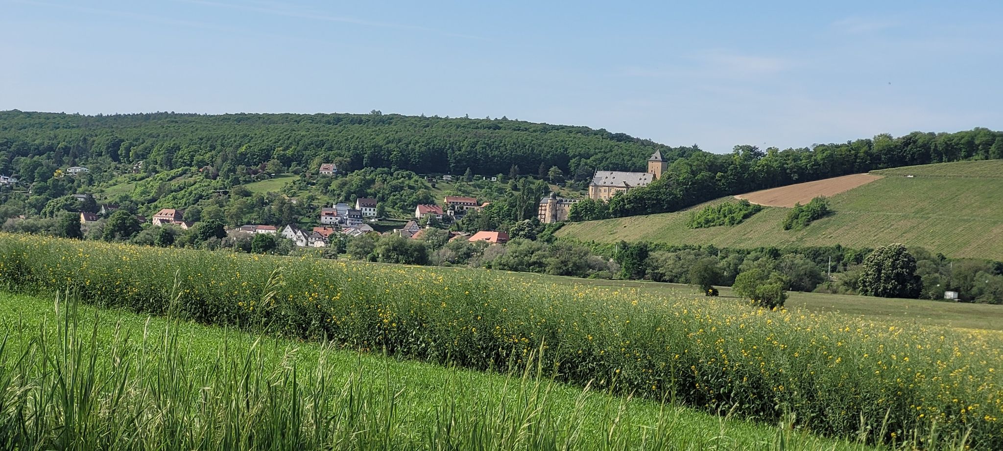 Schloss Mainberg
