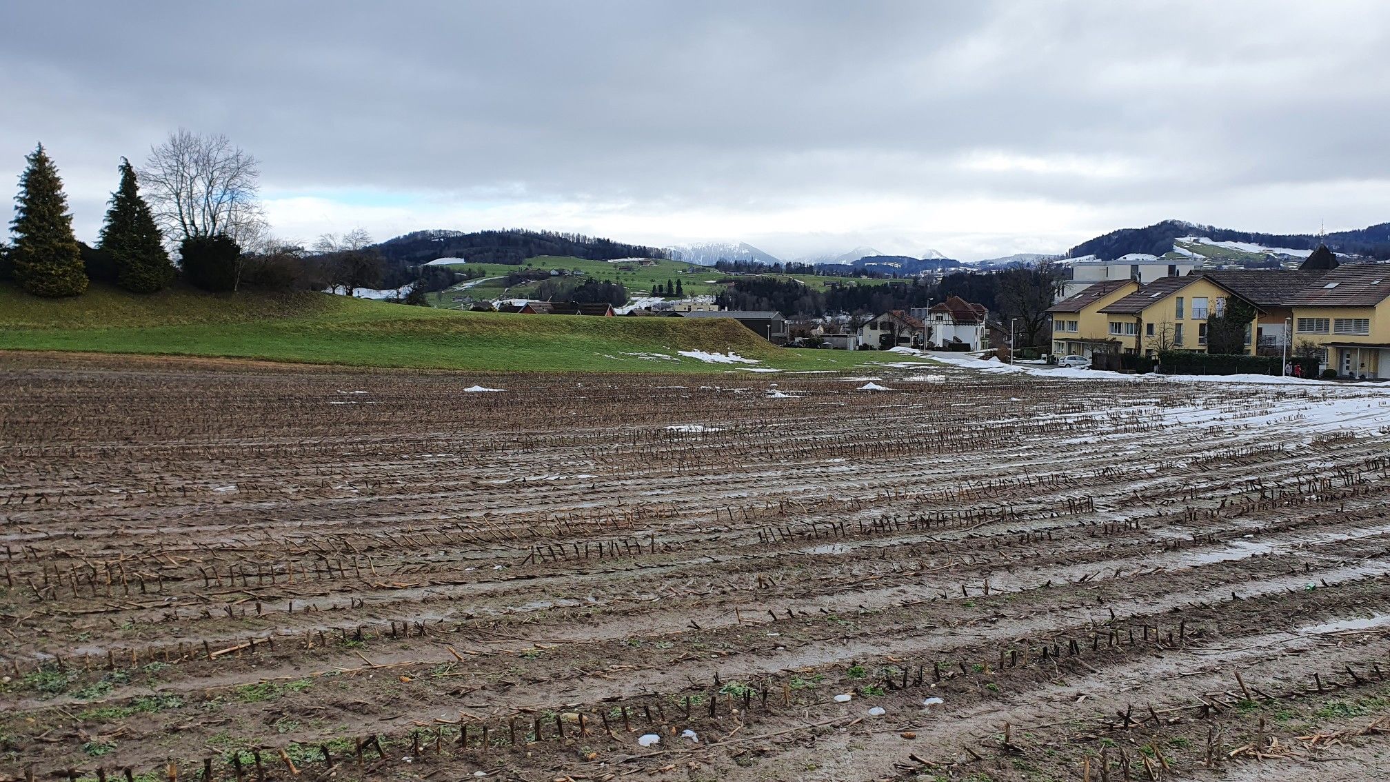 hinten in den Wolken der Alpstein