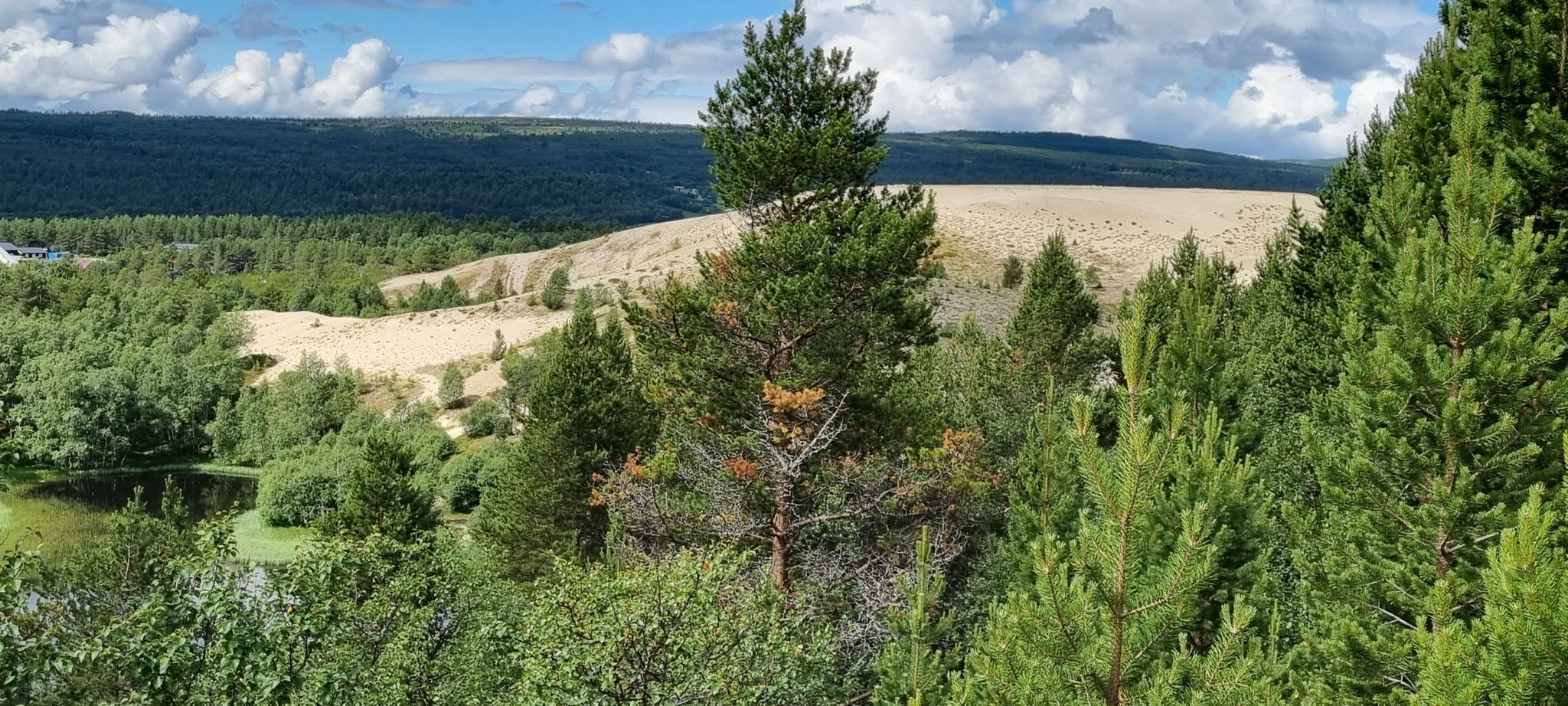 Kvitsanden