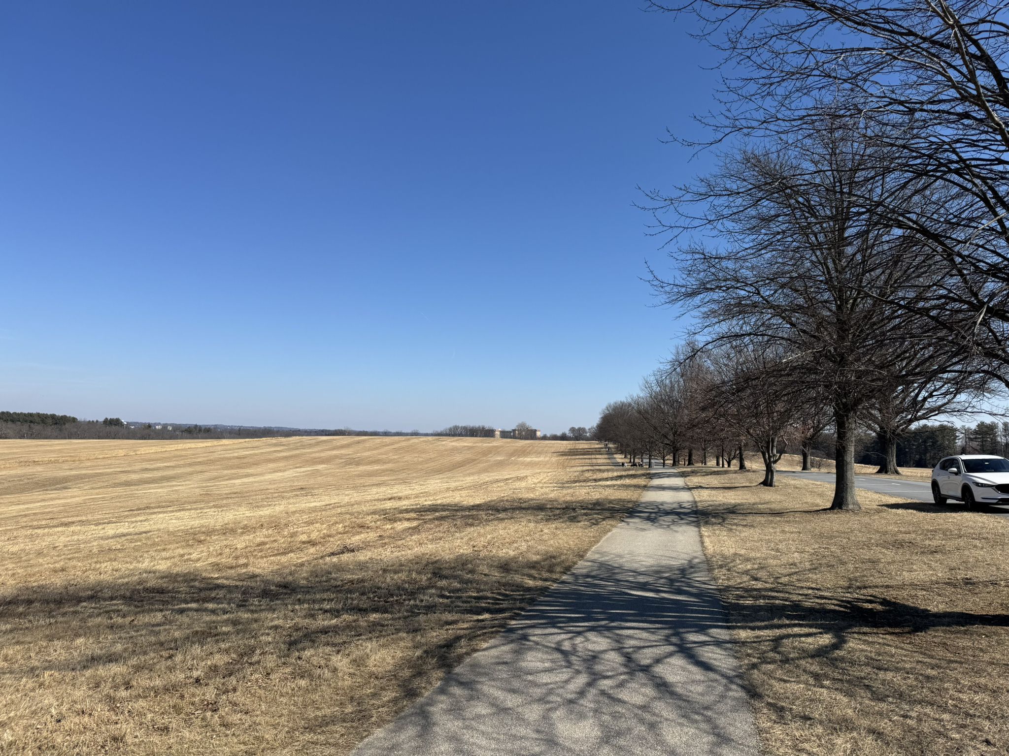 Paved path alongside bare trees, vast brown field, bright sunny sky. - Valley Forge Visitor Center – National Memorial Arch loop from Valley Forge National Historical Park