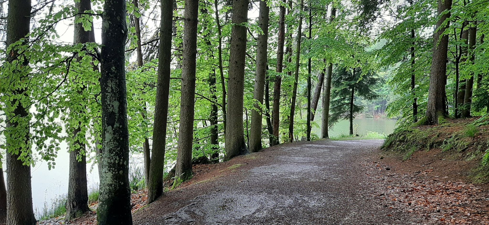 Eginger See