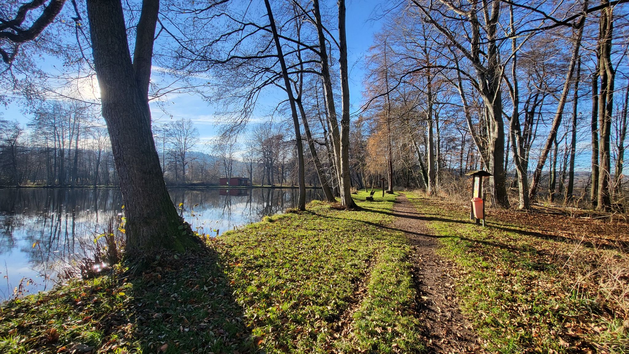 ...zum Rasenteich