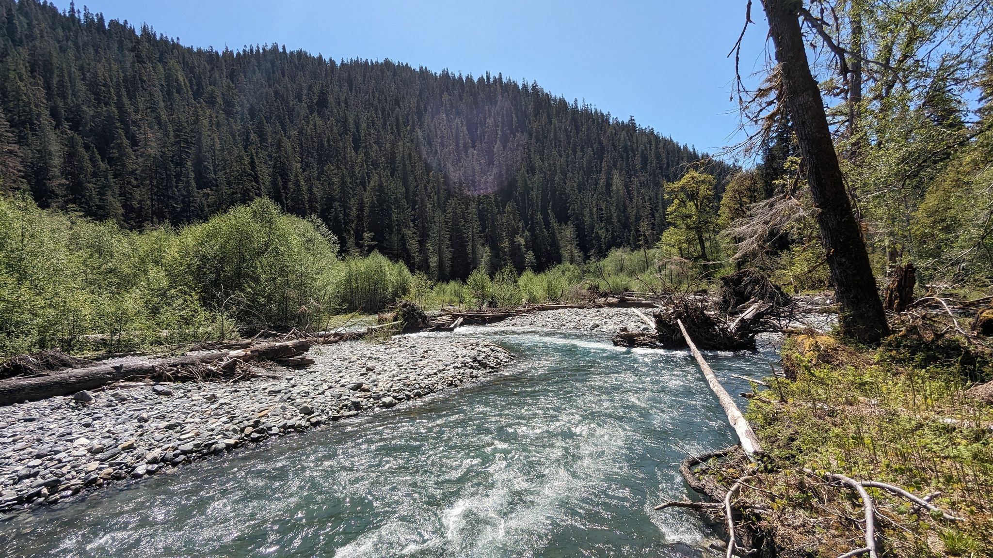 A wide river flows through a rocky valley surrounded by dense green forest. - East Fork Quinault River Trail