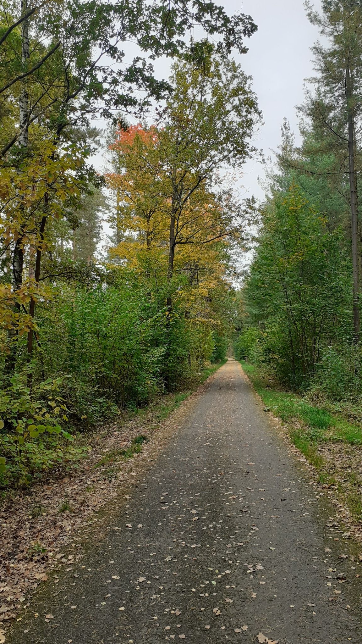 Und schon ist wieder Herbst