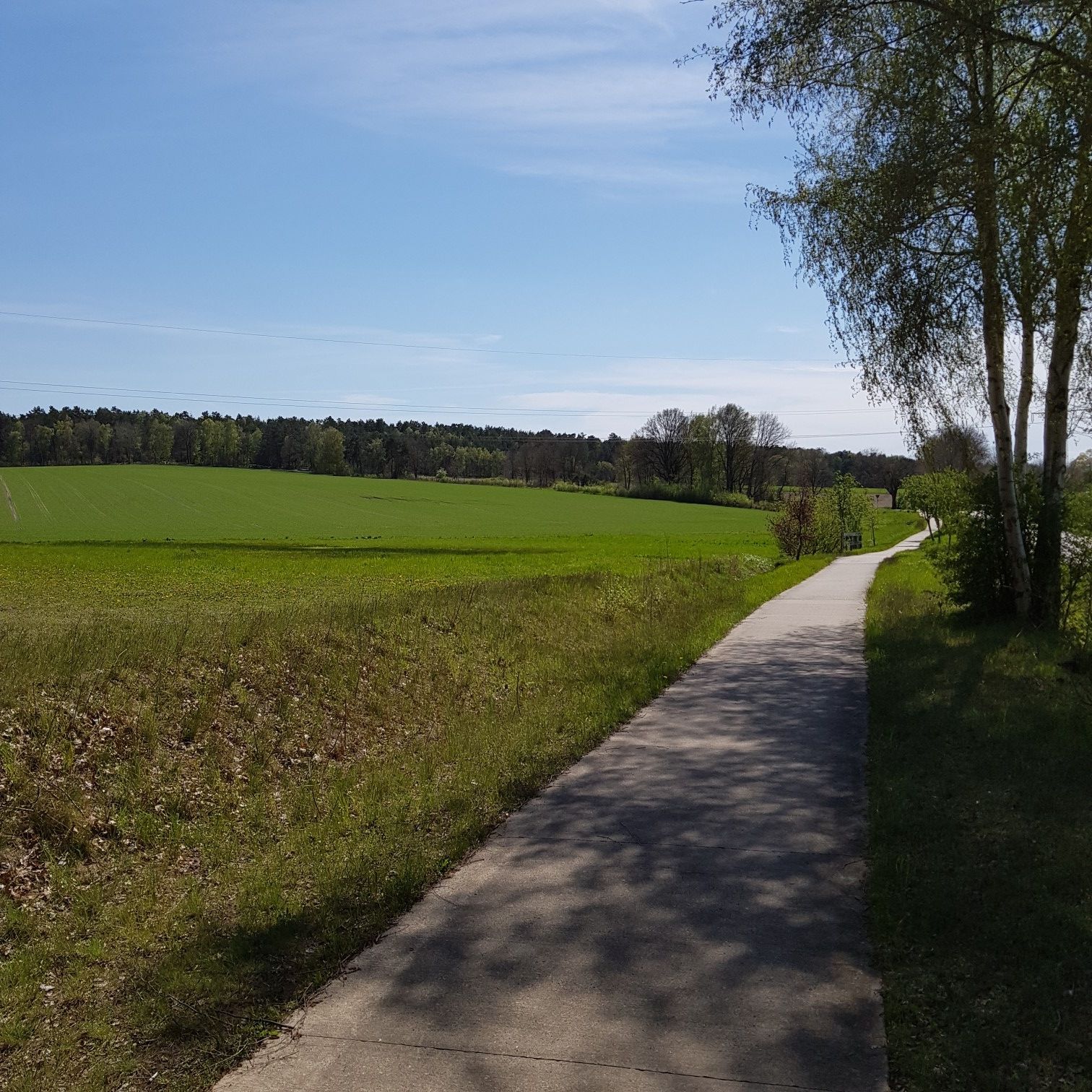 Ziel in Sicht (ganz links oben)