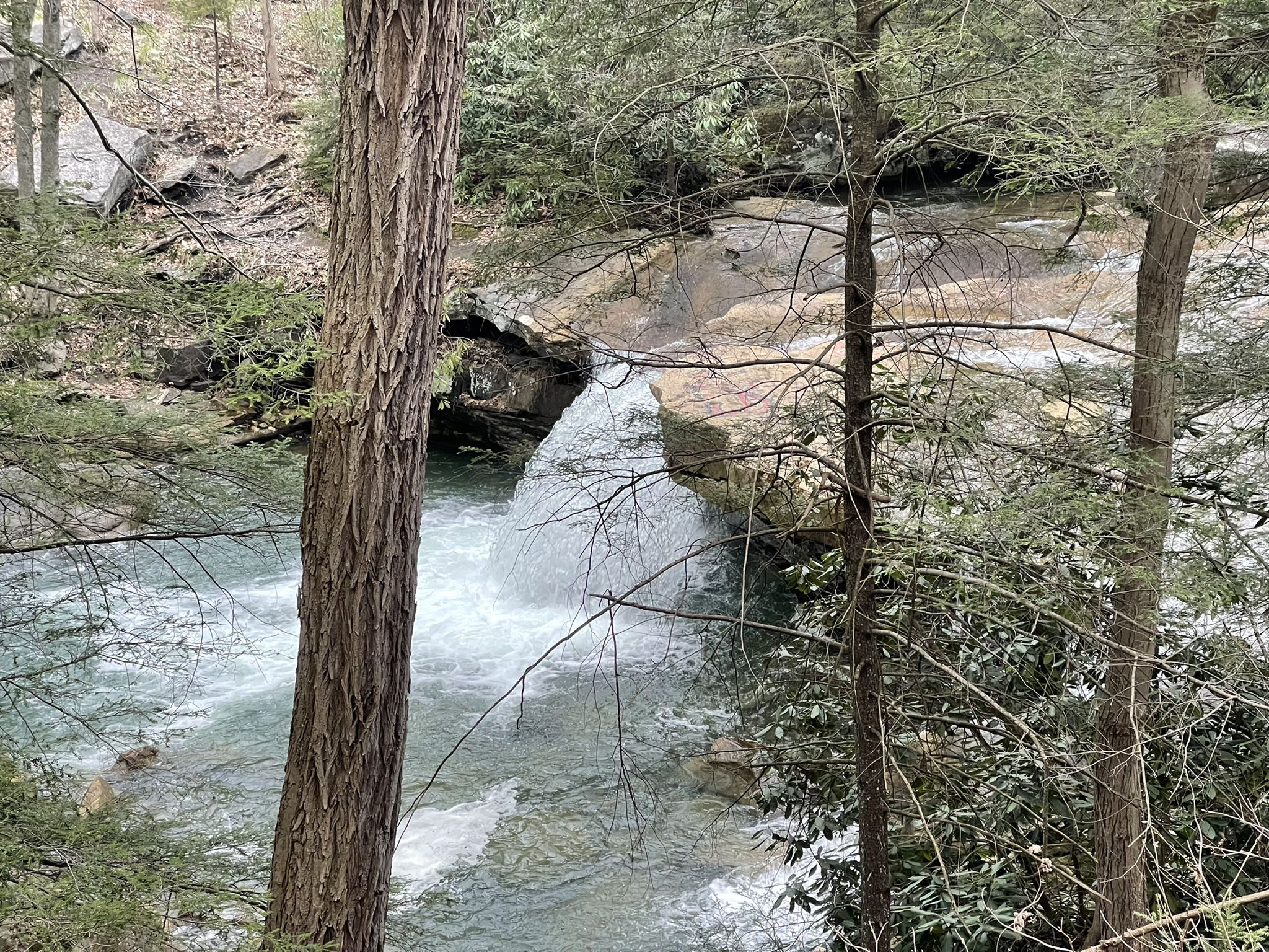A small waterfall cascades into a rocky river, framed by tall trees. - Roadbike loop from Pierpont