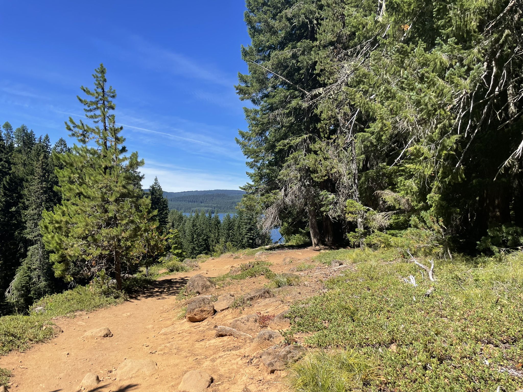 A sunny dirt path winding through a pine forest overlooking a distant lake. - Timothy Lake Loop – Mount Hood National Forest