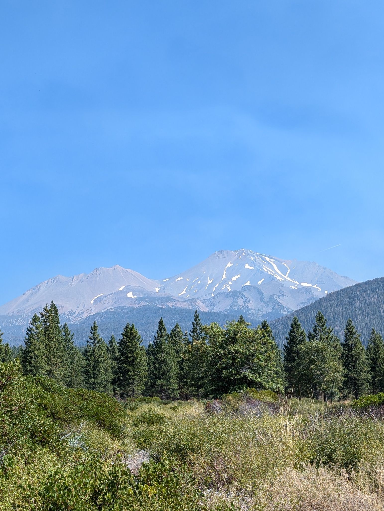 Majestic snow-capped mountains rise above a green forest under a blue sky. - Foundation Trail