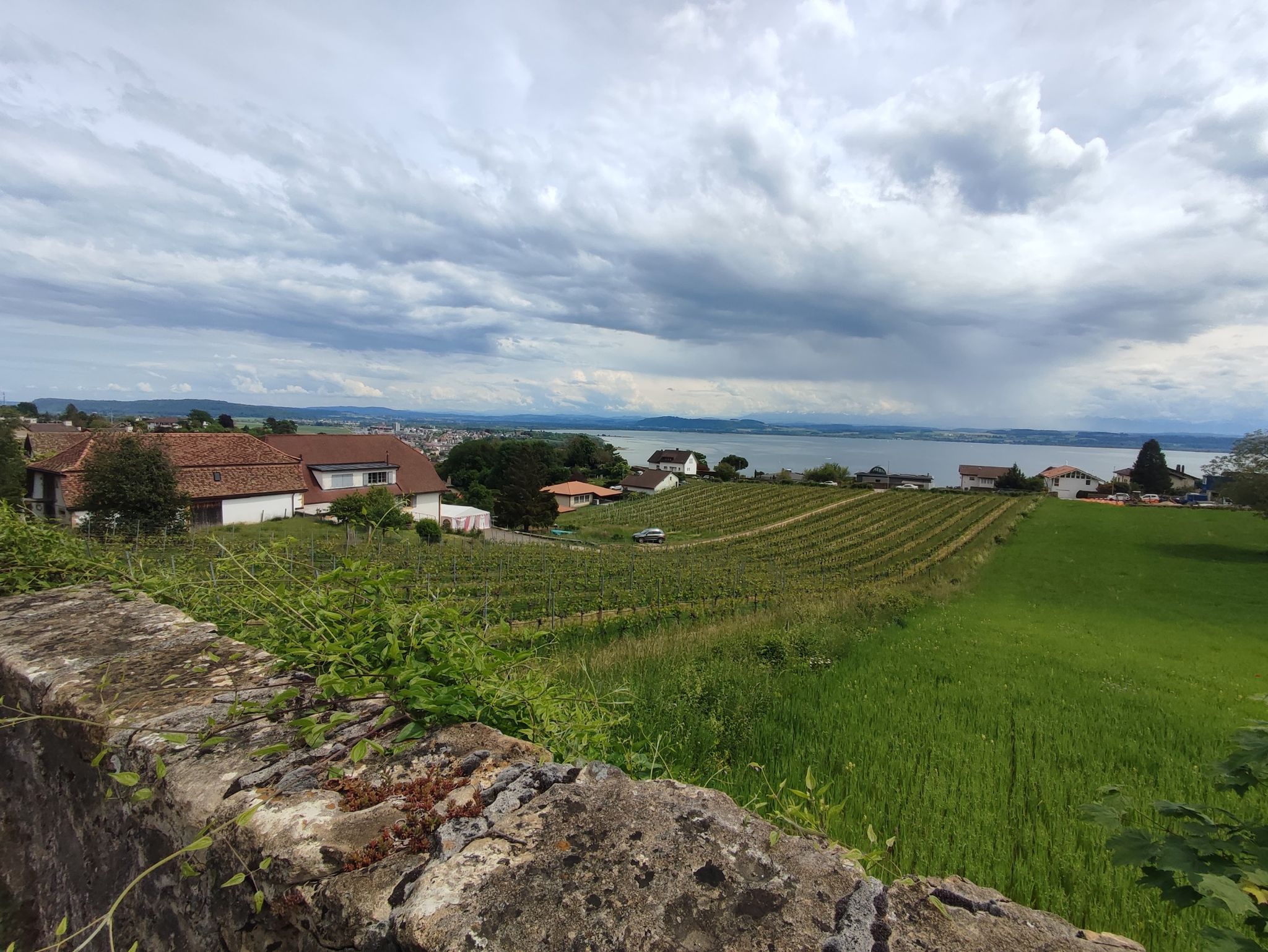 Hauterive