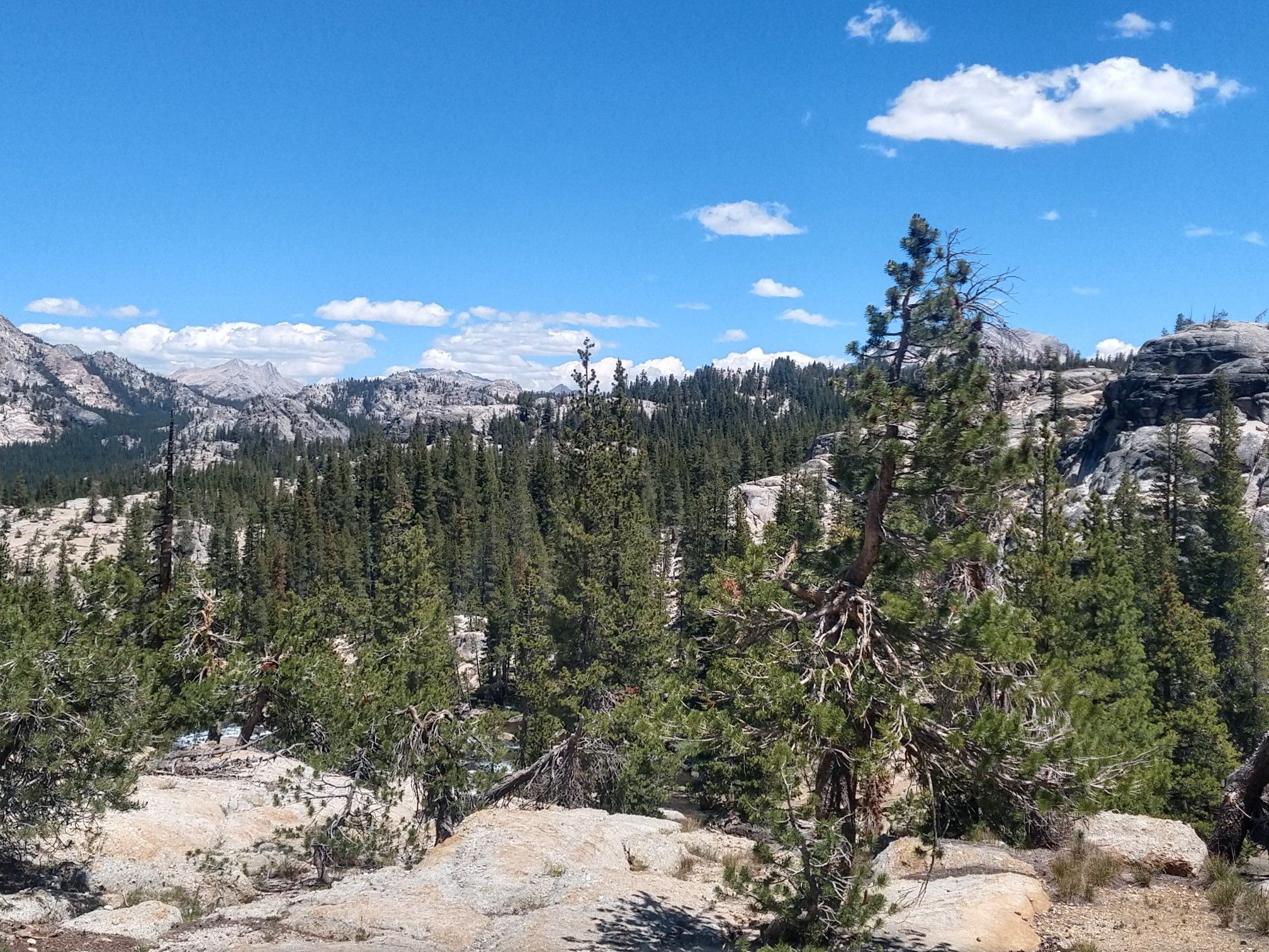 Sunny mountain landscape with pine trees, rocky terrain, and distant peaks. - Tuolumne Meadows to Glen Aulin High Sierra Camp