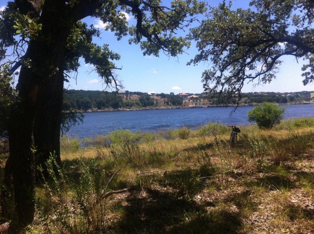 Sunny view of a wide blue lake through shaded tree branches and grassy shore. - Lake Travis loop from Mud