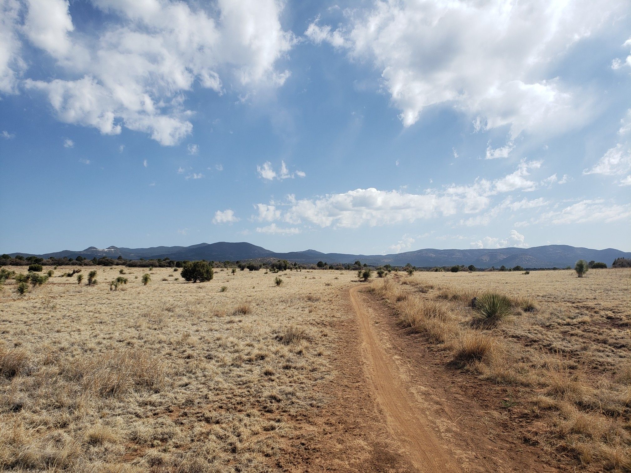 Dirt path through dry grass field under a partly cloudy sky. - Twin Sisters Creek and Dragonfly Outer Loop