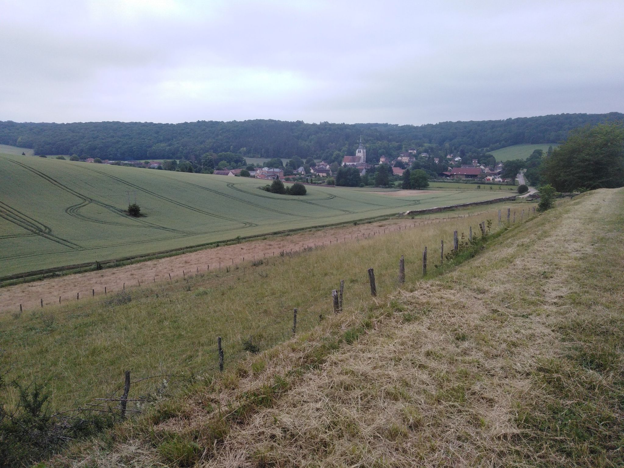 Entrée en Bourgogne- Berulle