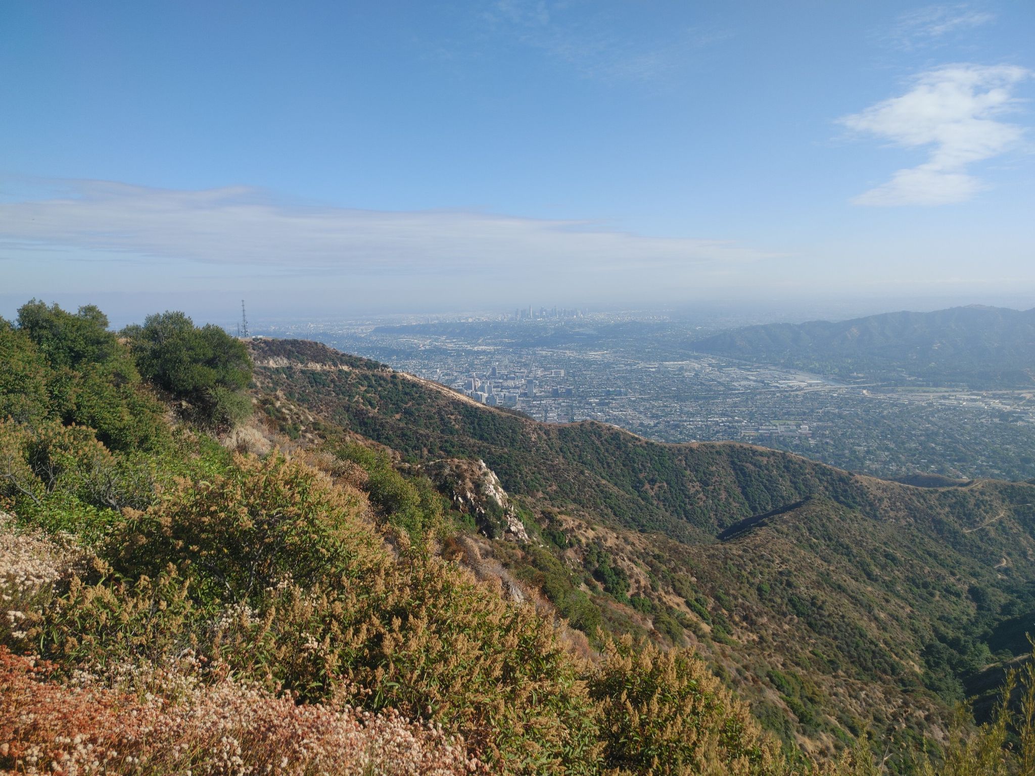 Lush green hillsides overlooking a vast city under a clear blue sky. - Verdugo Crest Trail Trailhead – Tongva Peak loop from Verdugo Mountains Open Space Preserve
