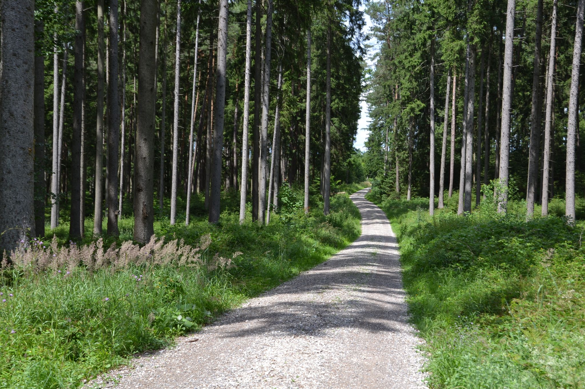 Niederrieden