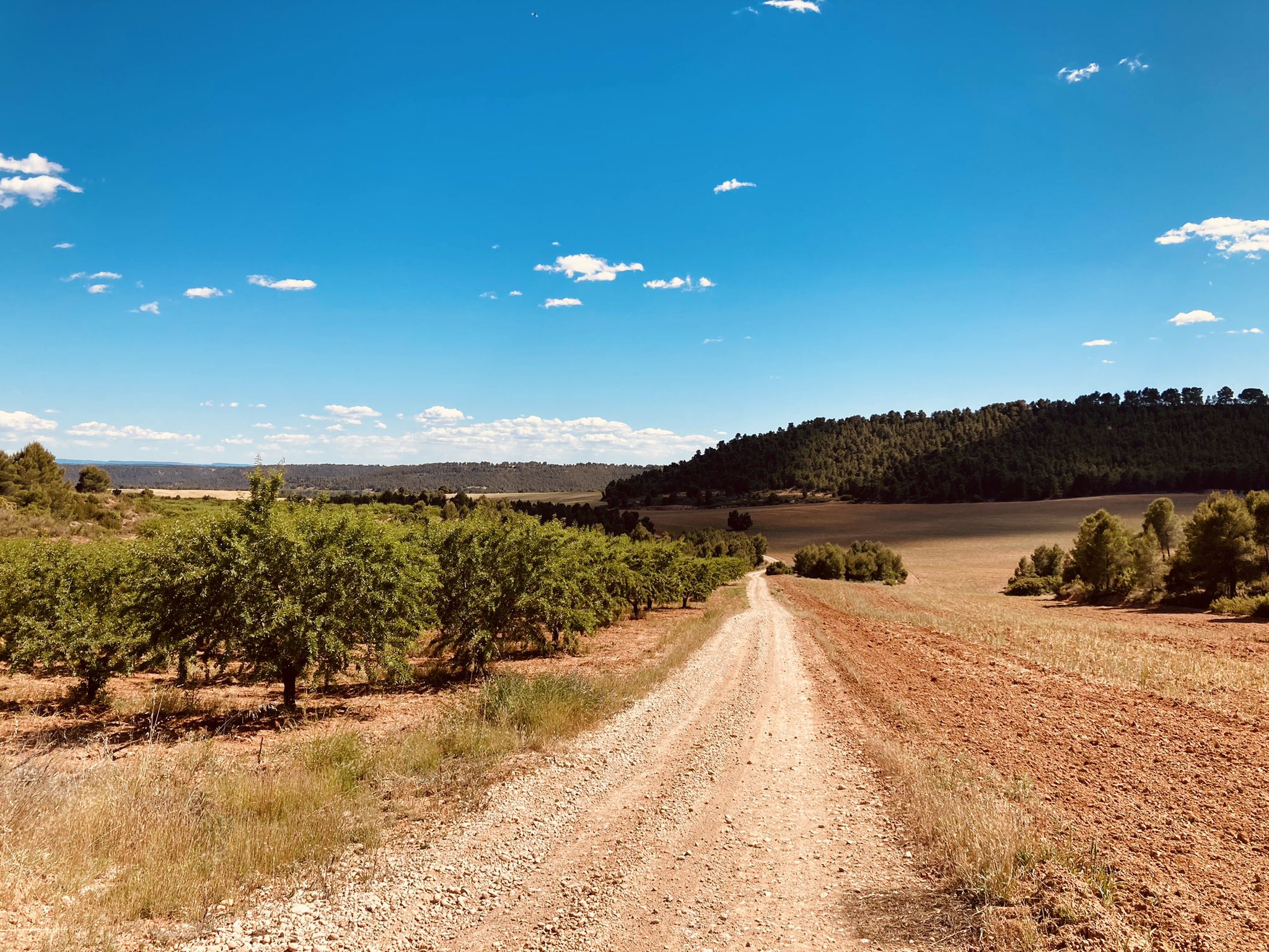 Picturesque gravel road