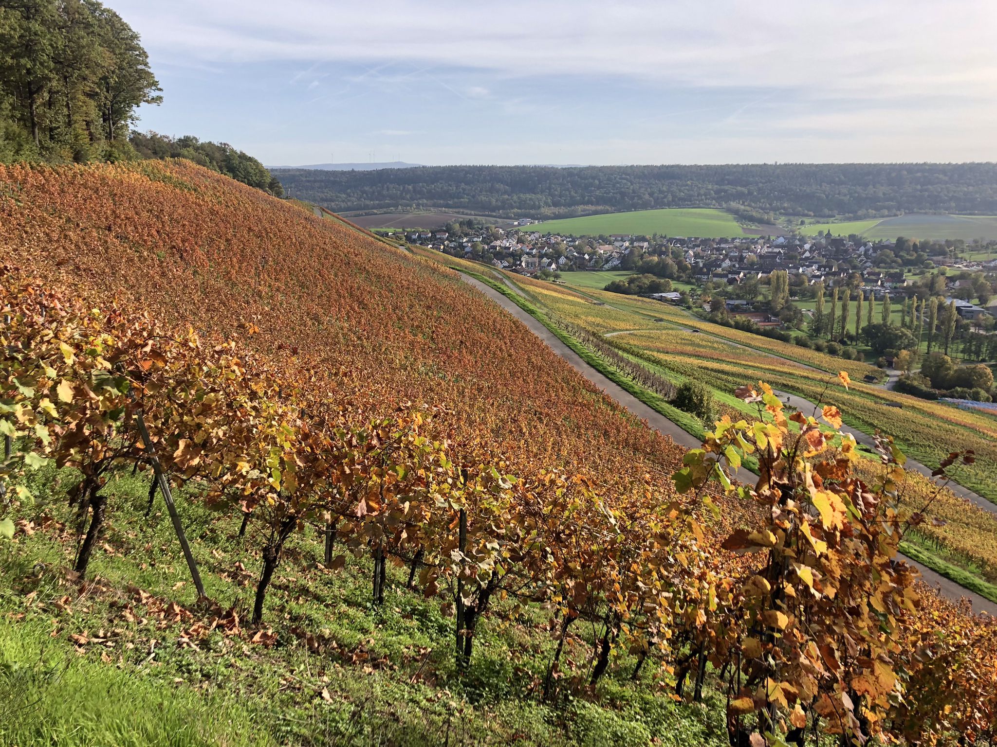 Blick auf Eberstadt