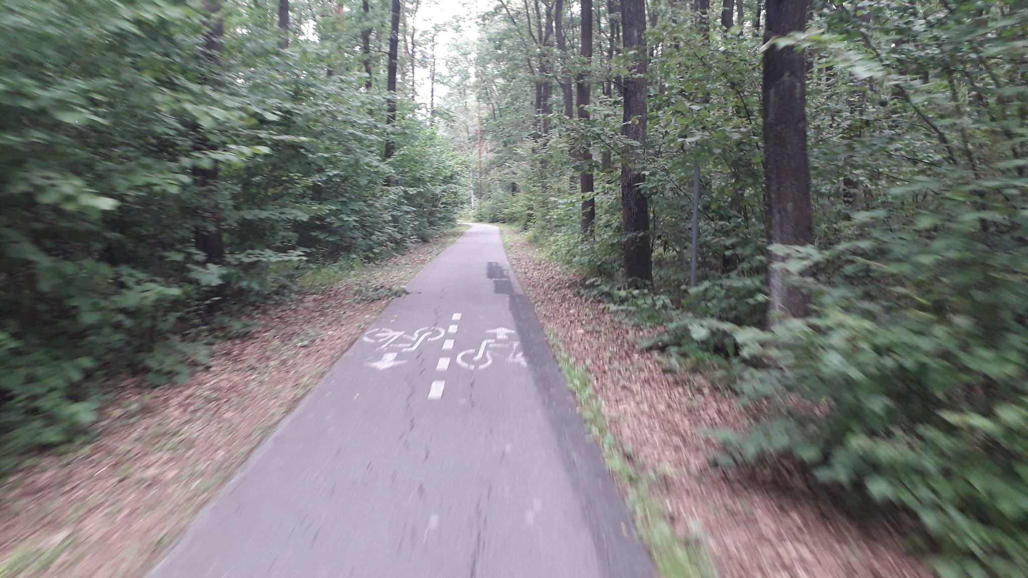 Great bike paths at Las Winiarski