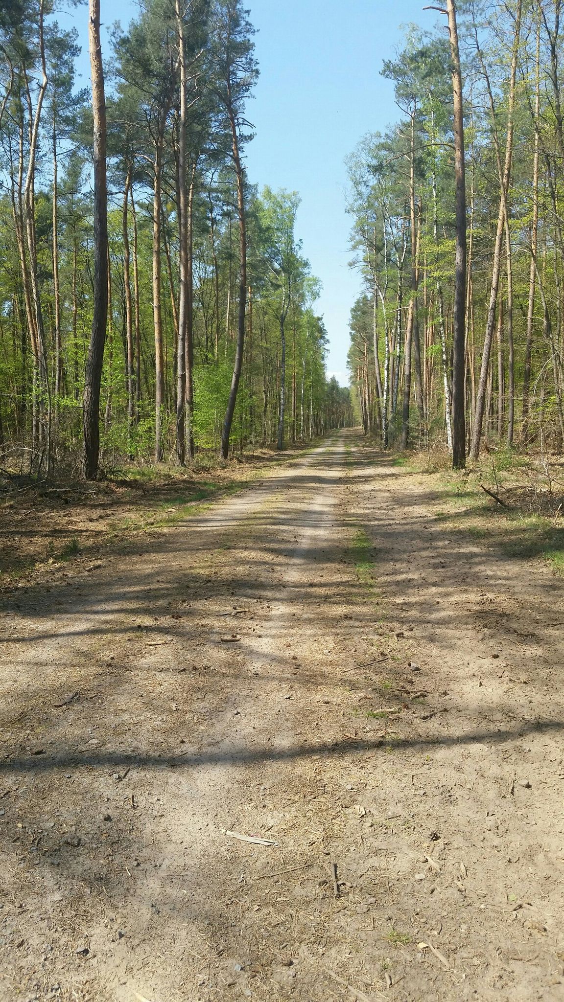 wie in Mecklenburg 