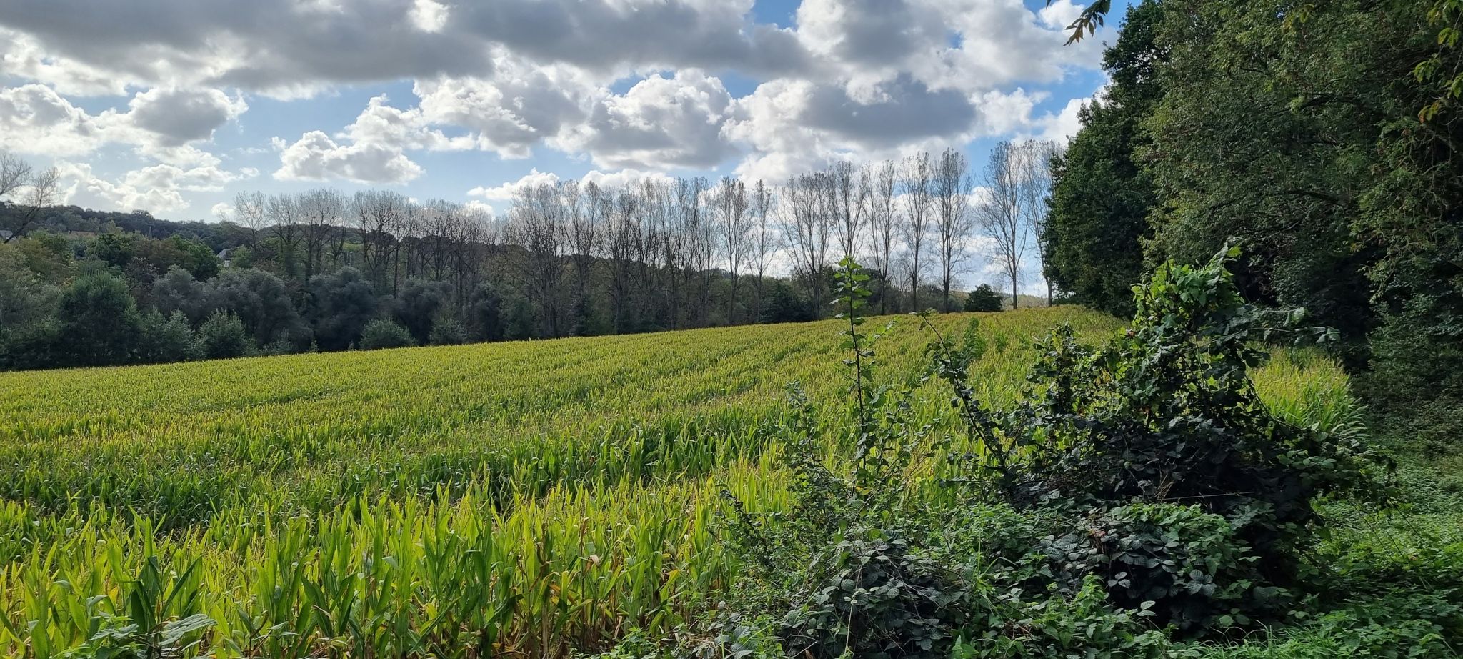 Vers Dorp - Losseweg