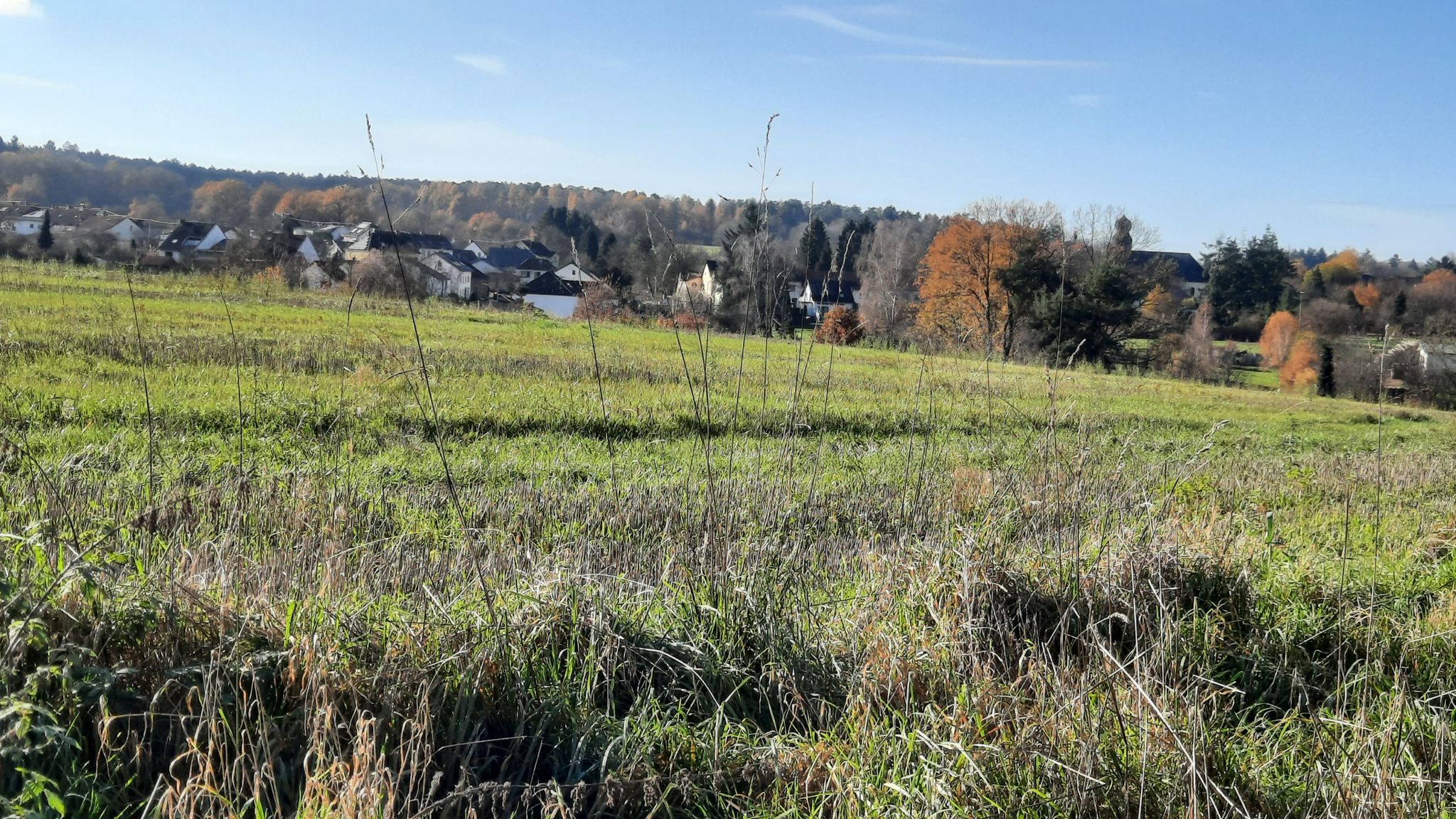 Friedrichweiler