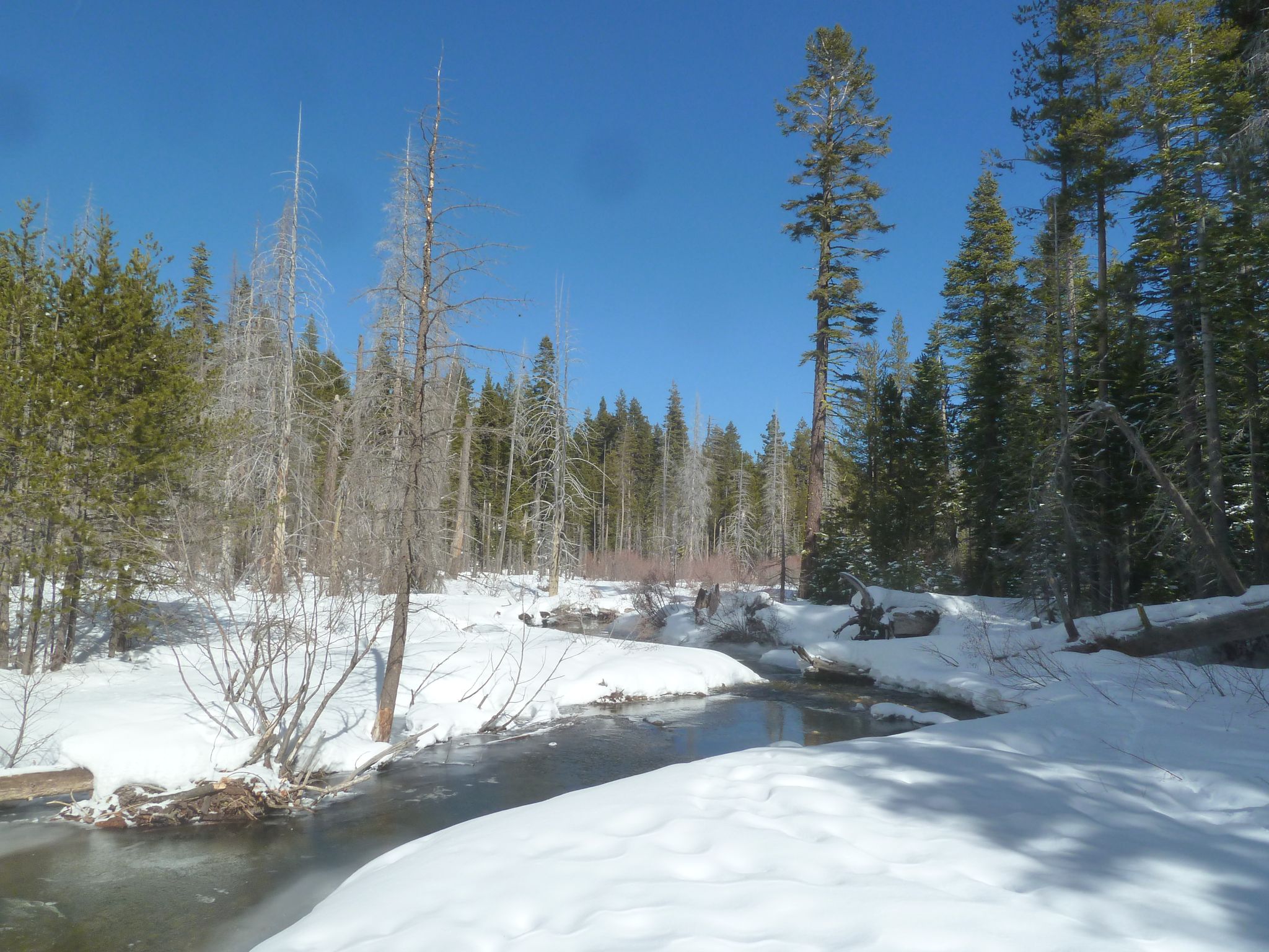 Sunny winter landscape with a winding stream, snow, and bare trees. - Visitor Center Tower – Sugar Pine Point Beach loop from Tahoma