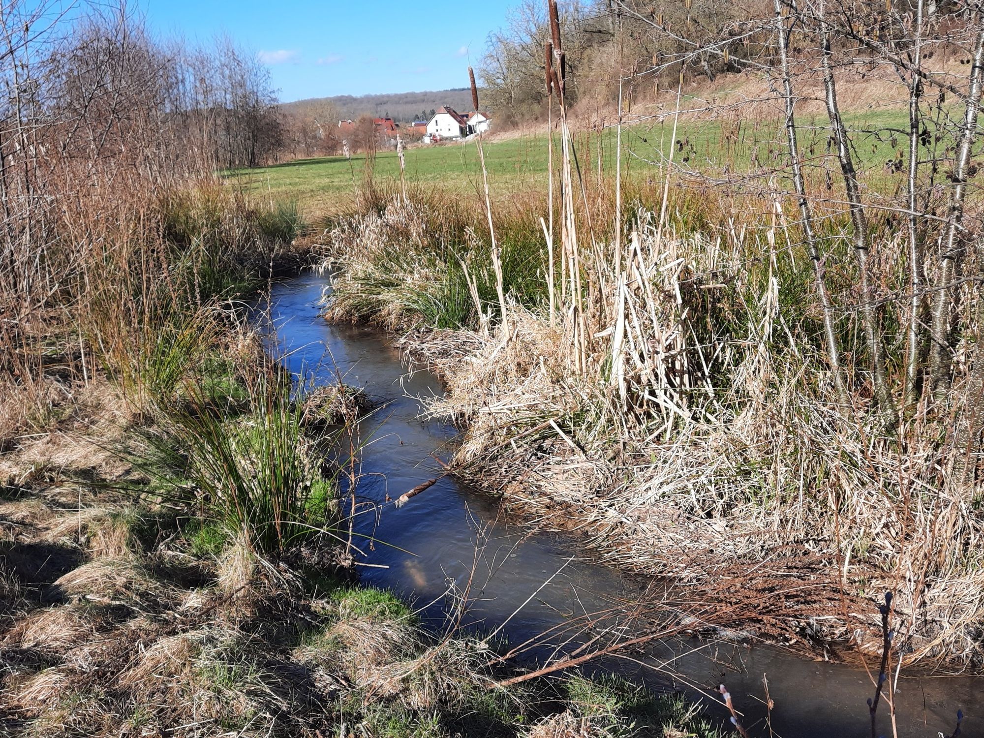 durch das Tal schlängelt sich der Brumbach