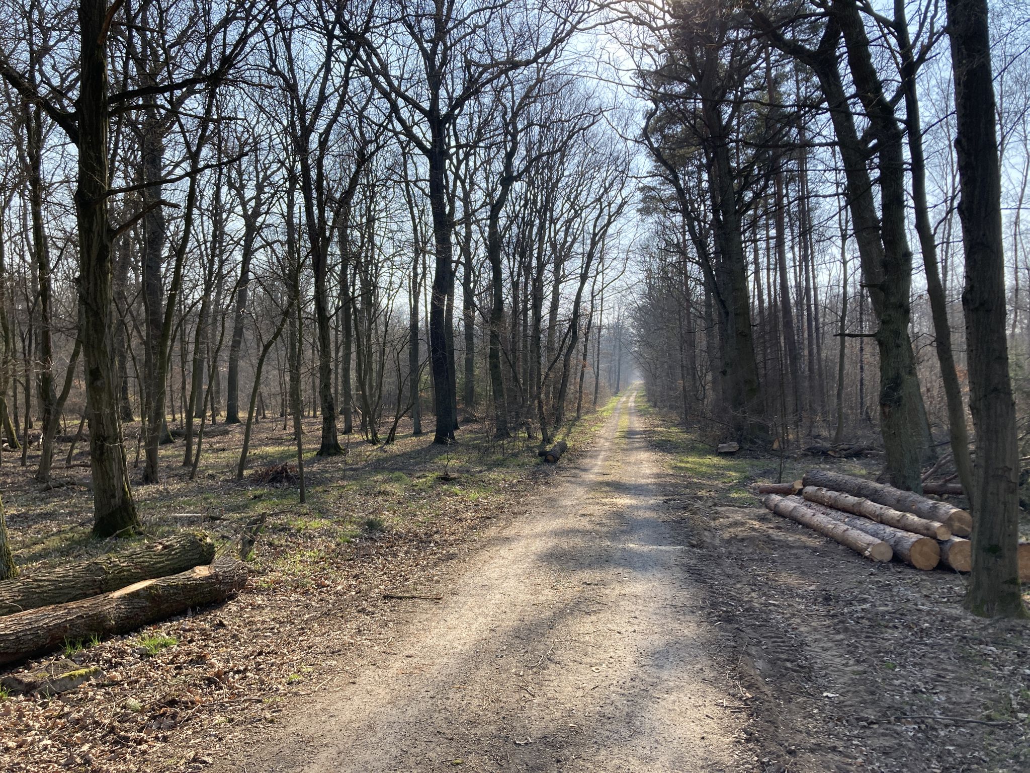 Kirchenweg