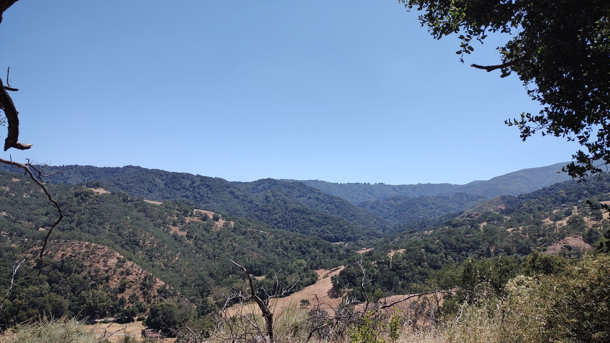 Wide valley with forested hills under a clear blue sky, bright daylight. - Bald Peaks Loop Trail