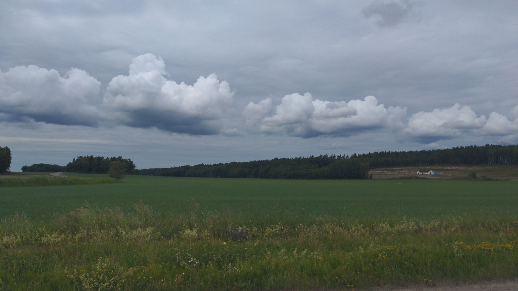 and fields