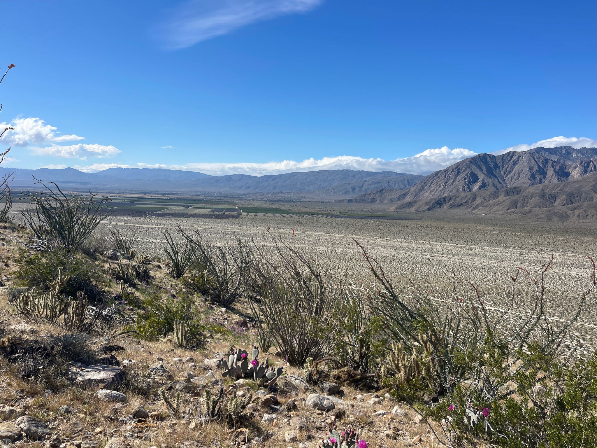 Expansive desert valley with sparse plants, distant snow-capped mountains under blue sky. - Alcoholic Pass Trail