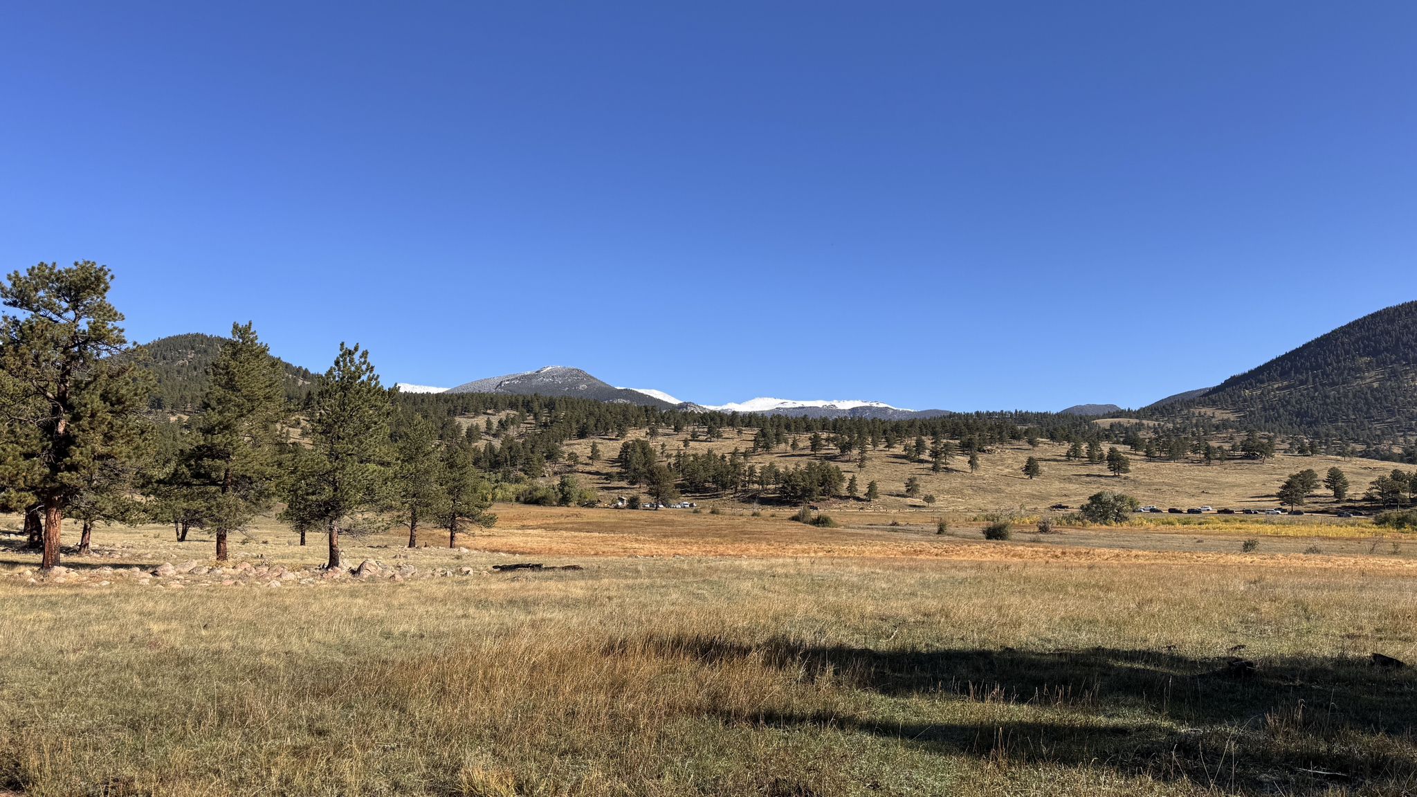 Expansive sunny meadow with scattered pine trees and distant mountains under blue sky. - Hiking loop from Beaver Meadows Trailhead