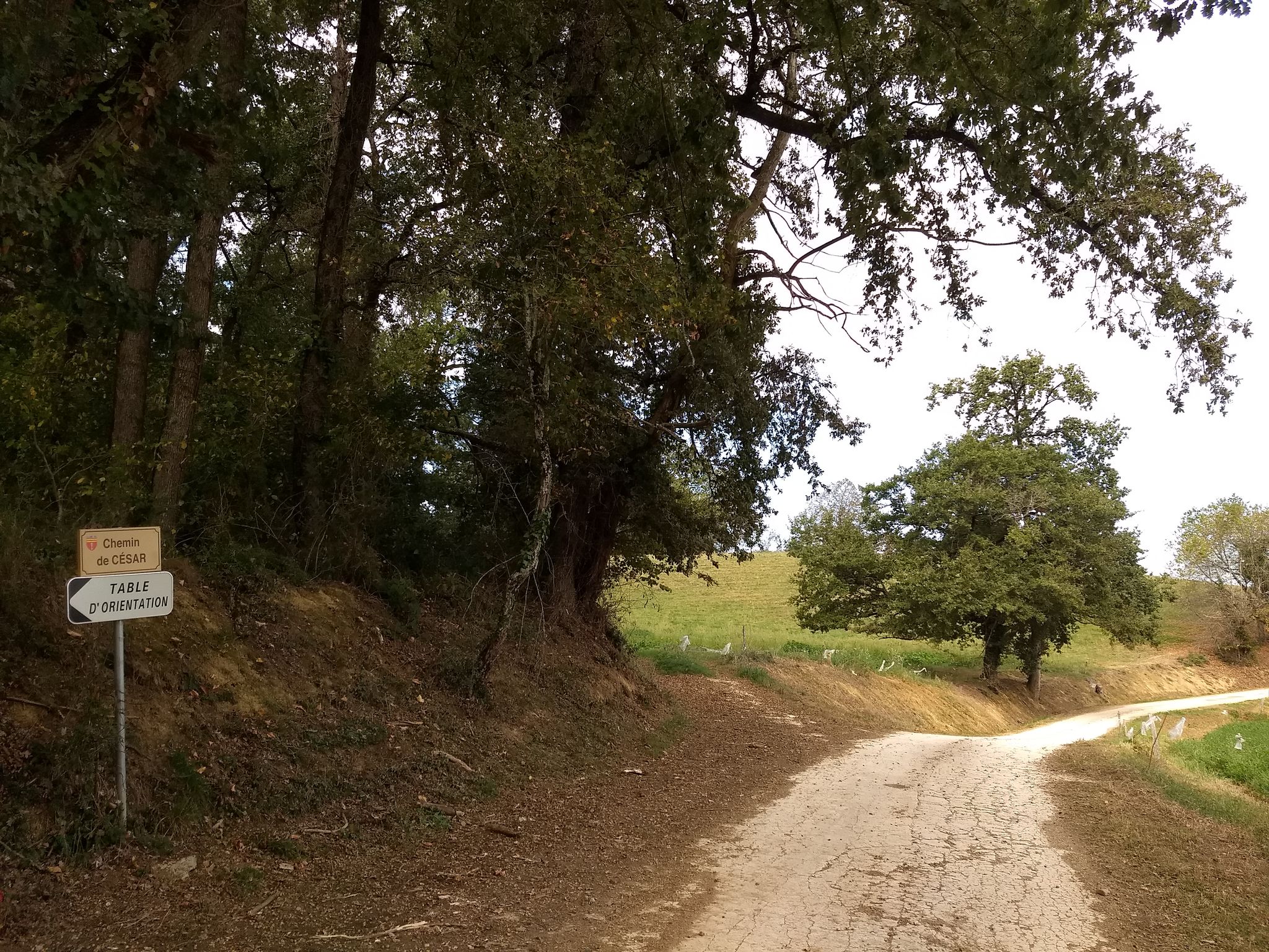 Du côté de Lalanne - Trie.